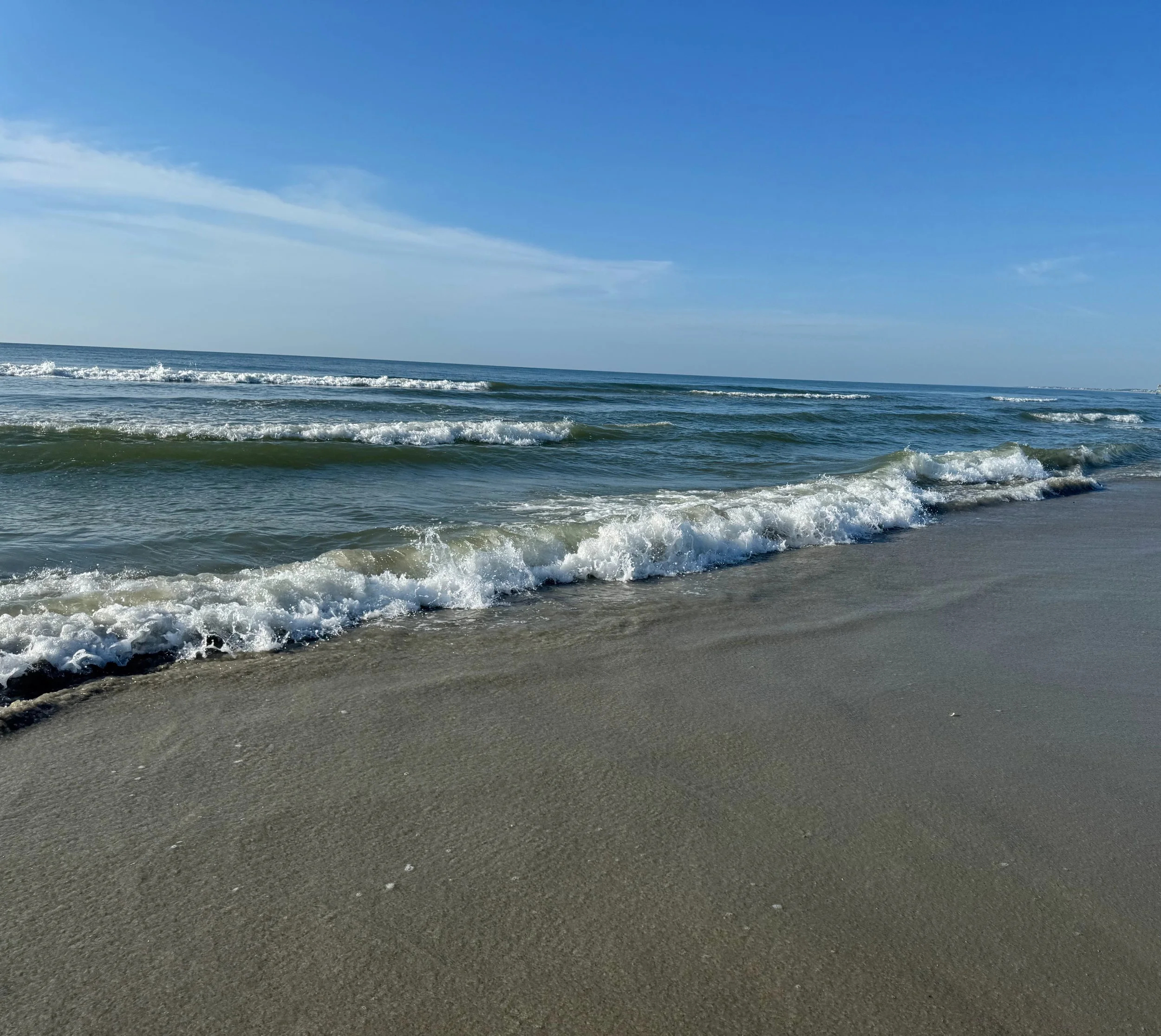 Coastal Carolinas