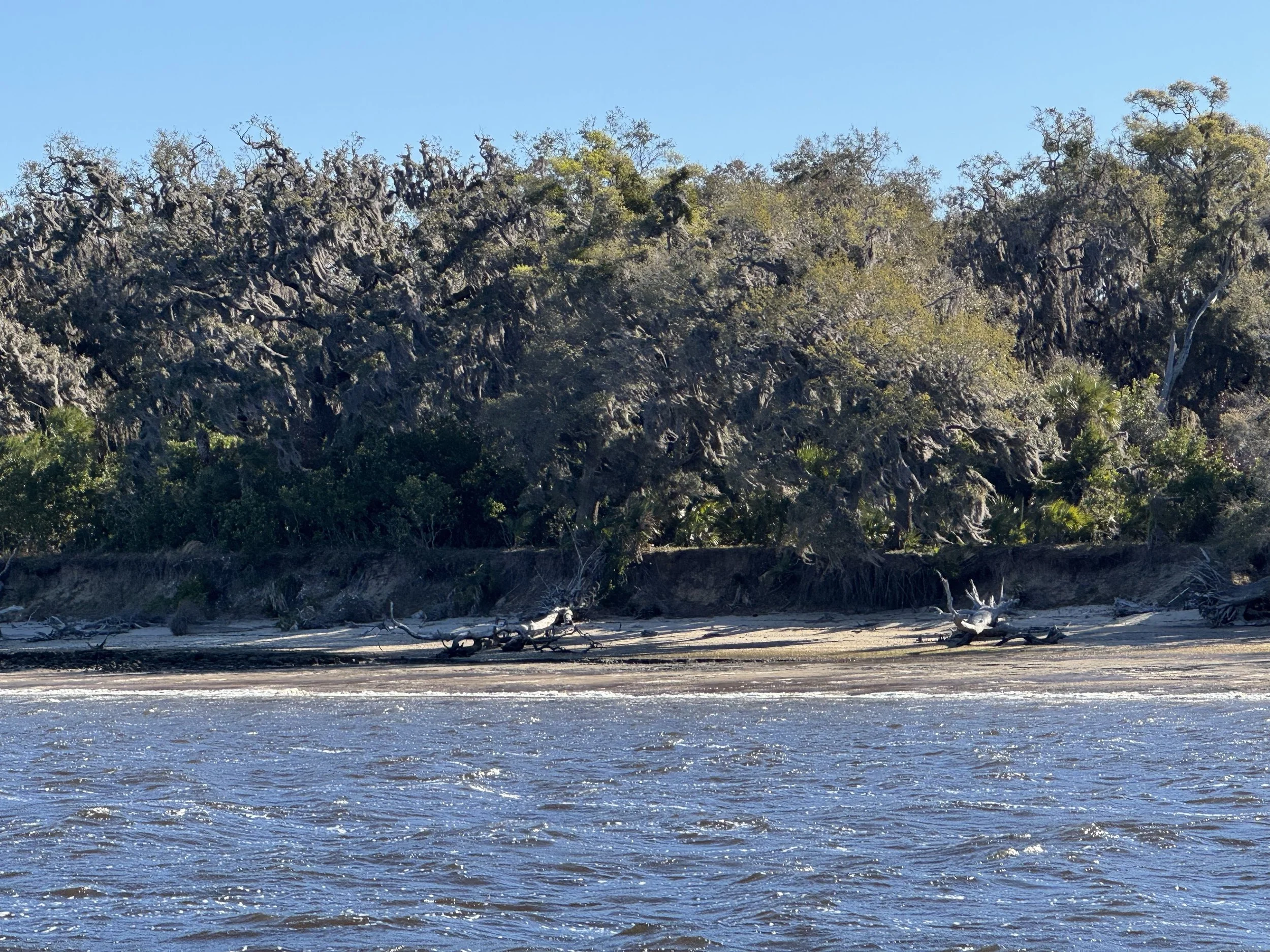 Cumberland Island
