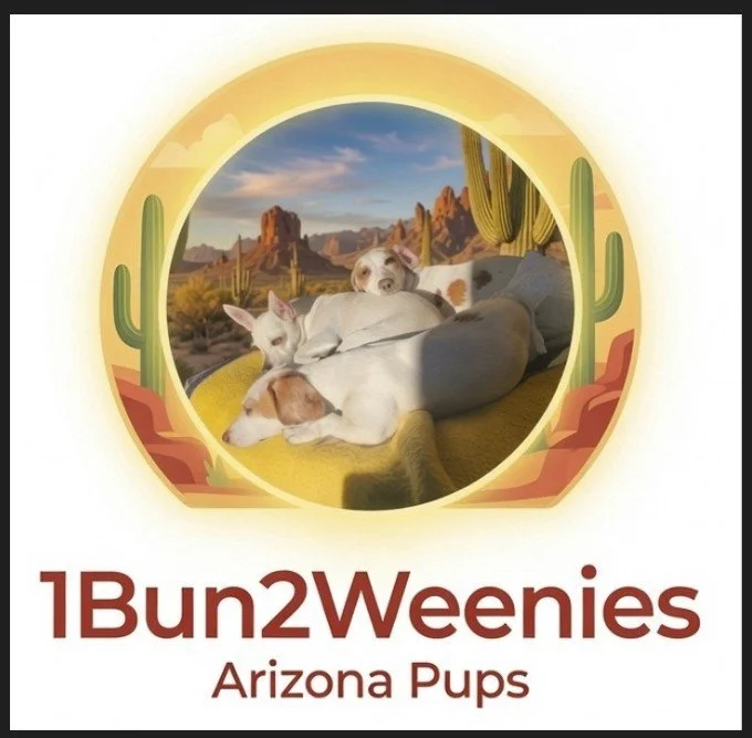 1Bun2Weenies