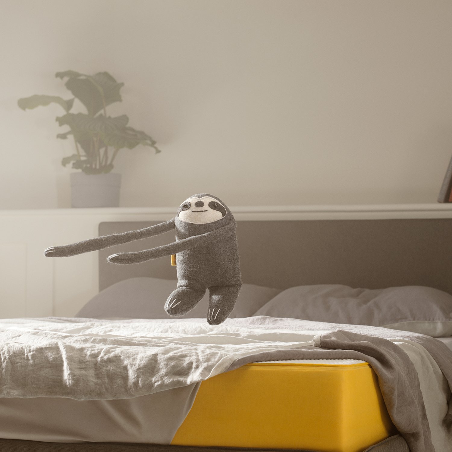 eve Mattresses Email