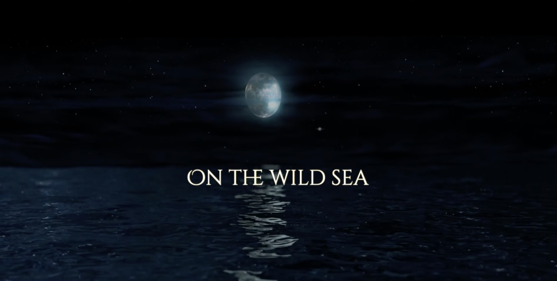 Nighttime ocean scene with moonlight and the words “On the Wild Sea.”