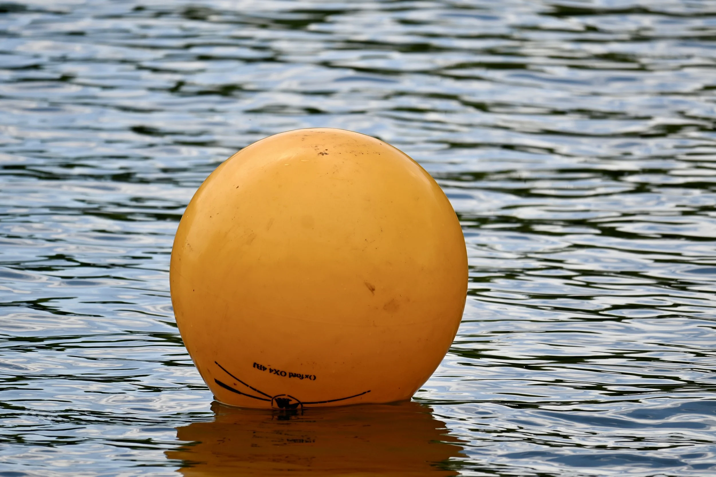 Thames event Photography