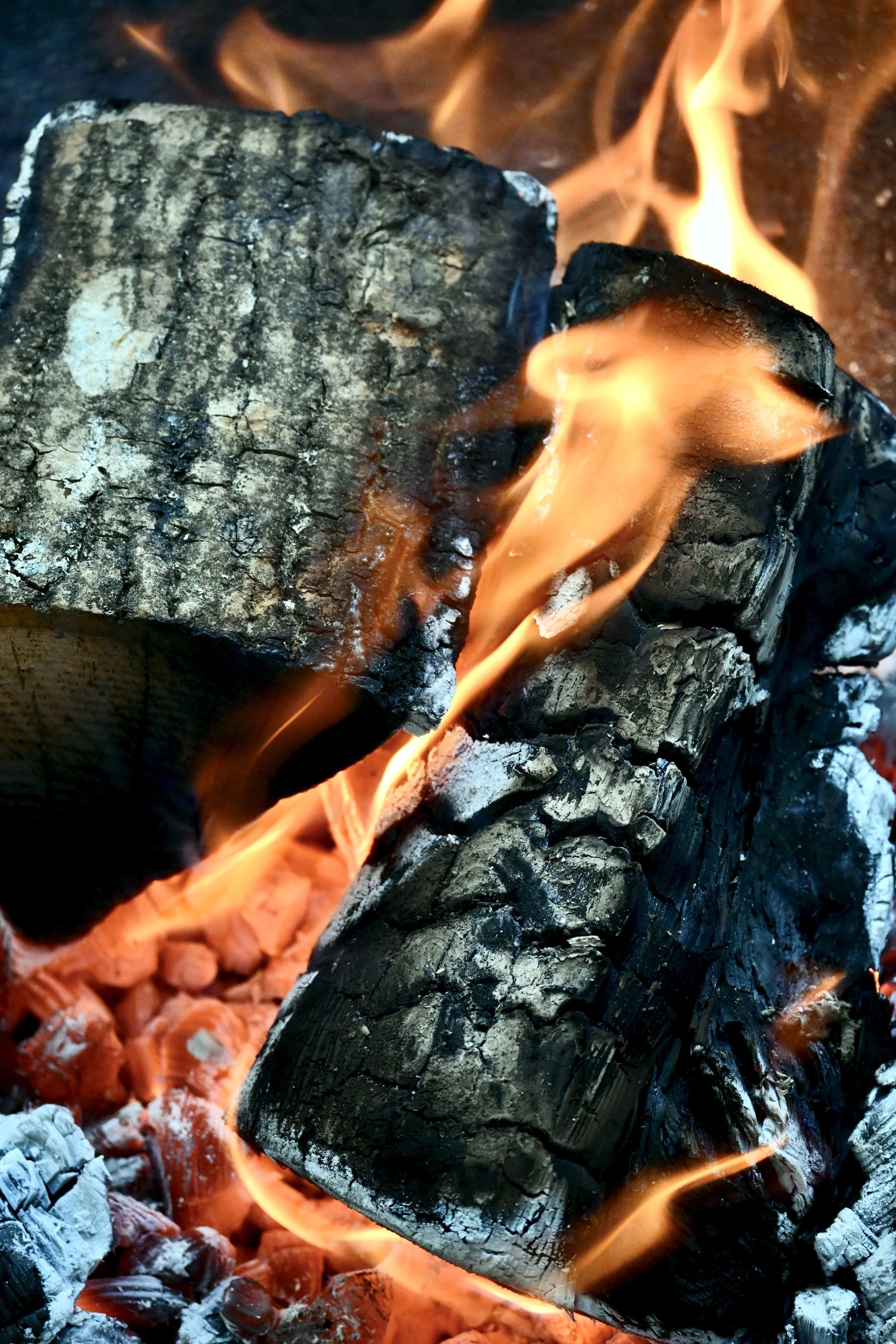 Wood Fire