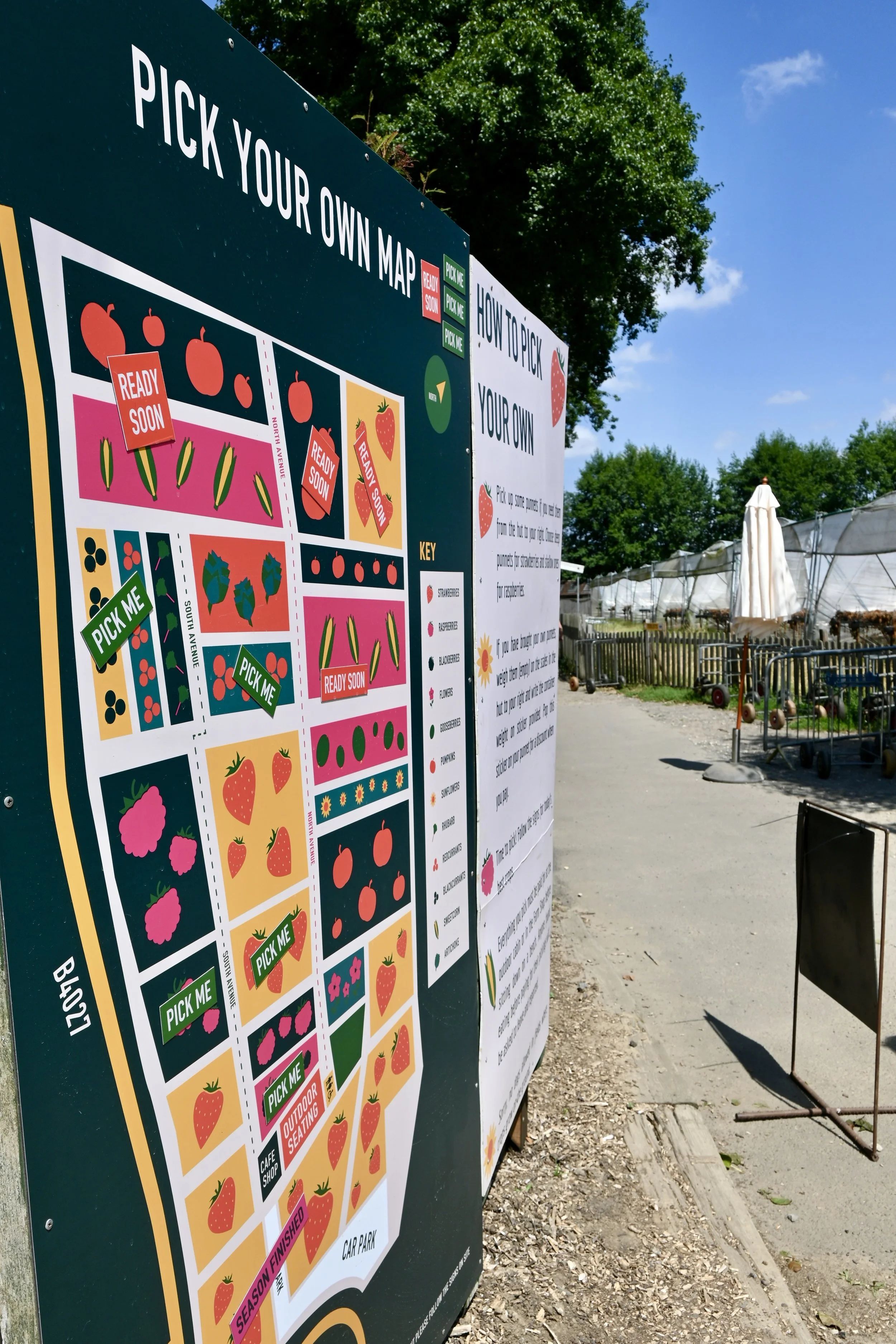 summer day at Rectory Farm Oxford