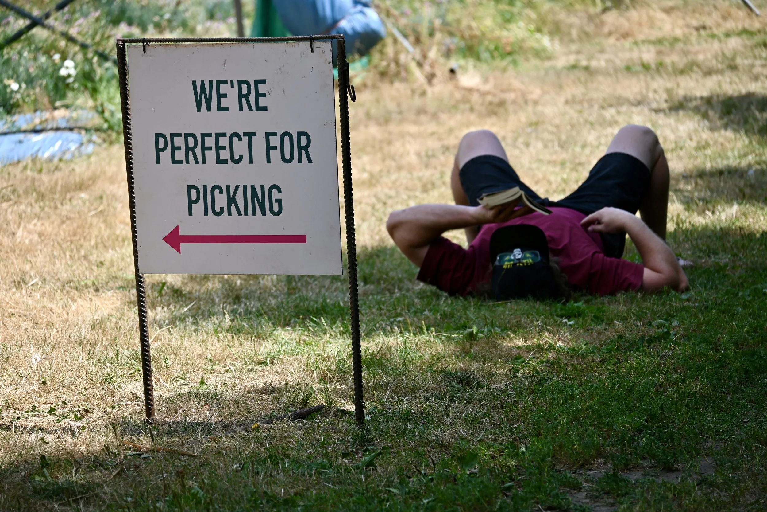 people relaxing outdoors at Rectory Farm Oxford