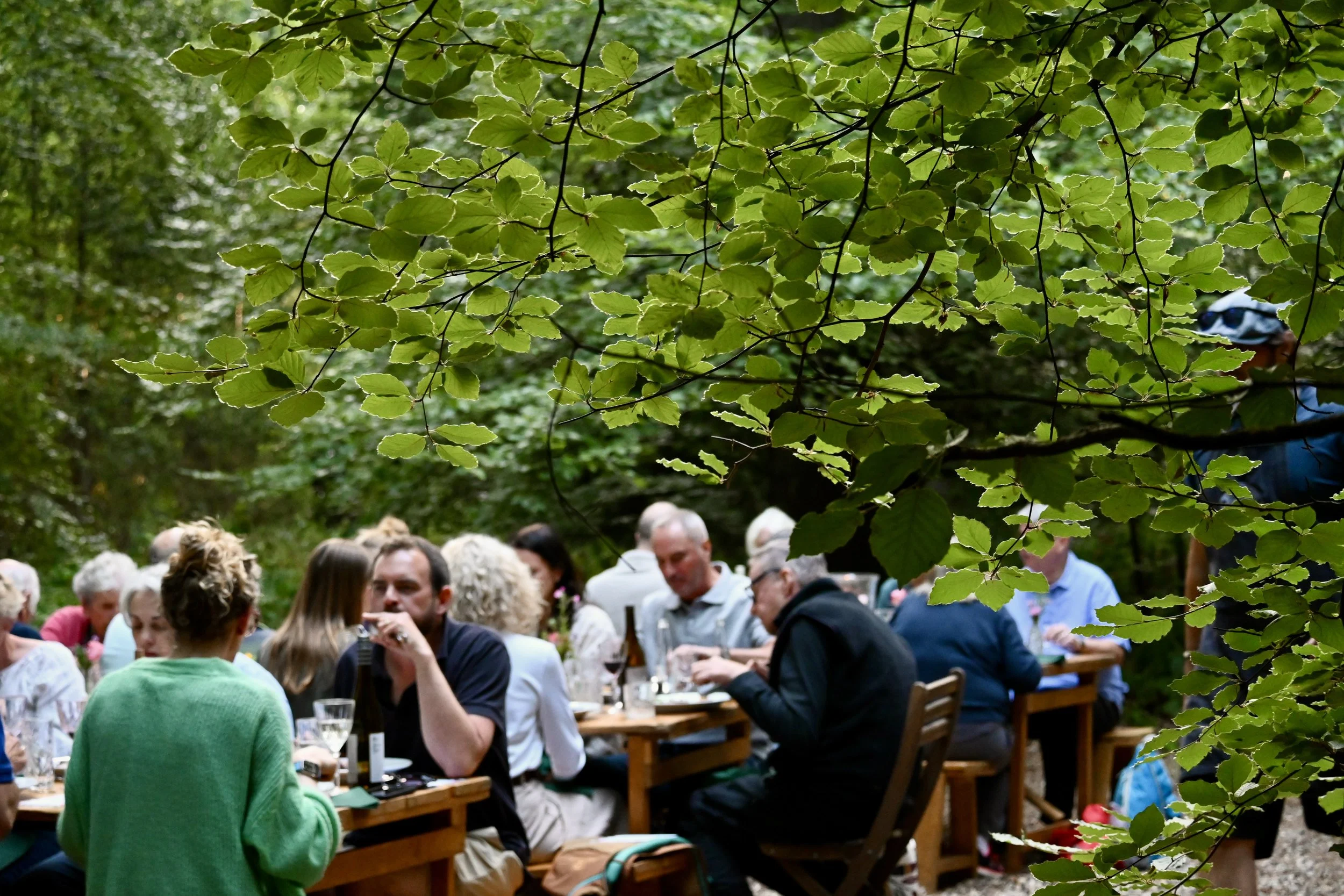 Dining under a natural canopy