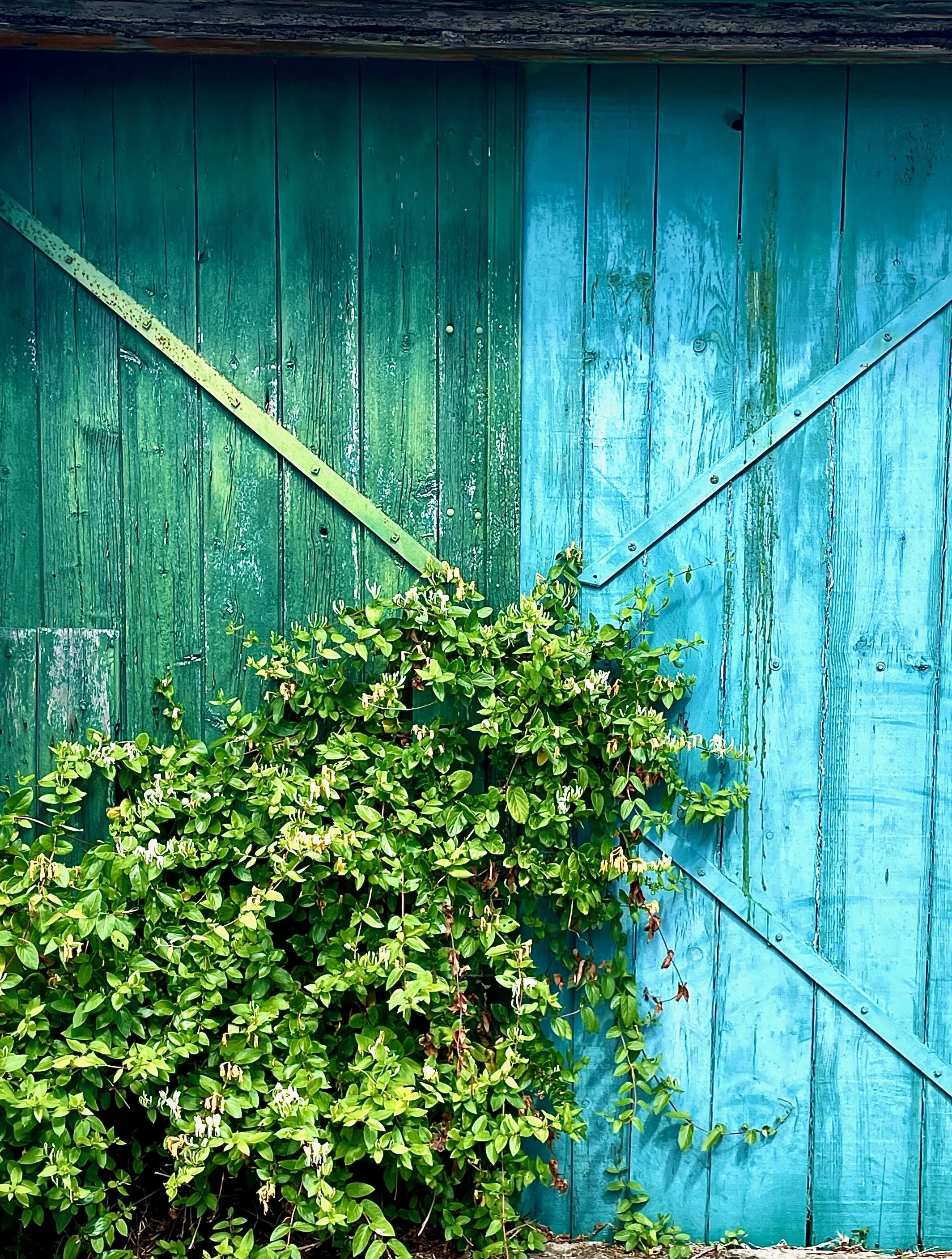 Colourful Shutters France
