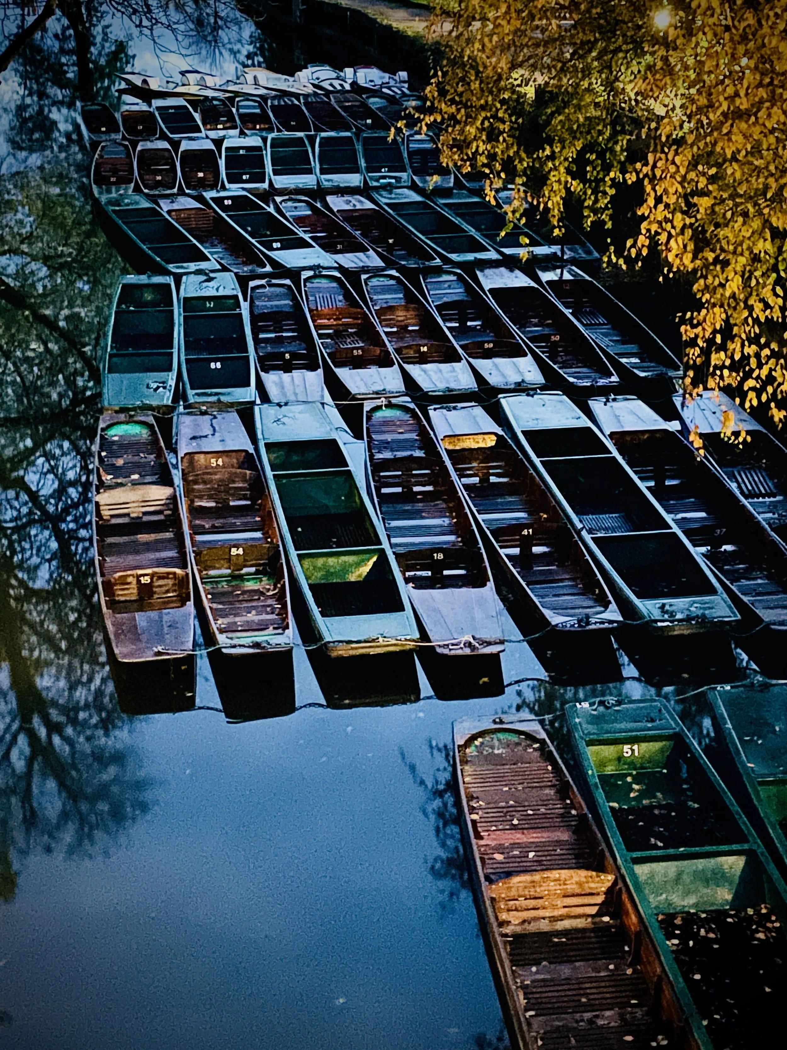 Punts on the Cherwell Oxford