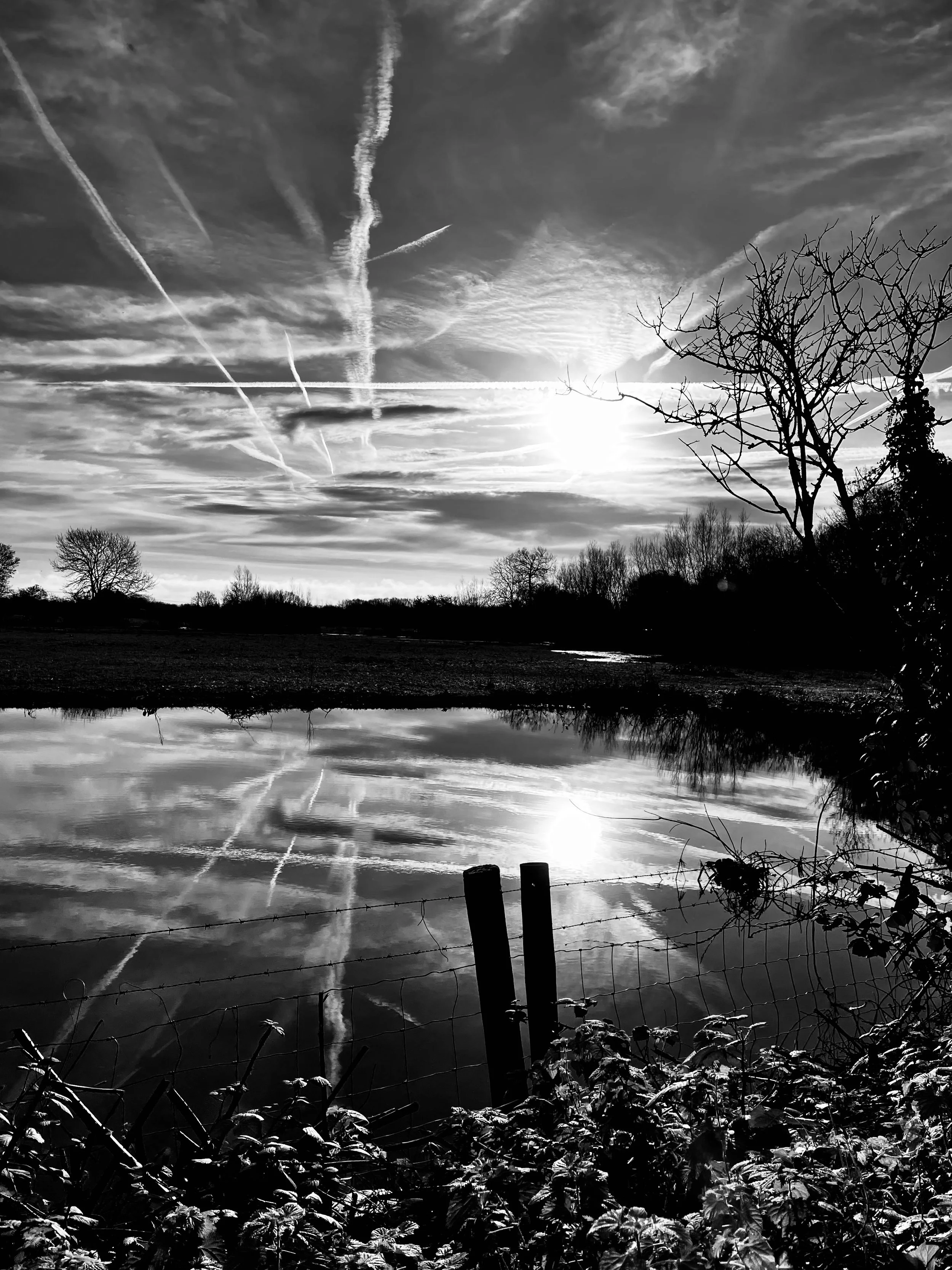 Canal reflections Oxford