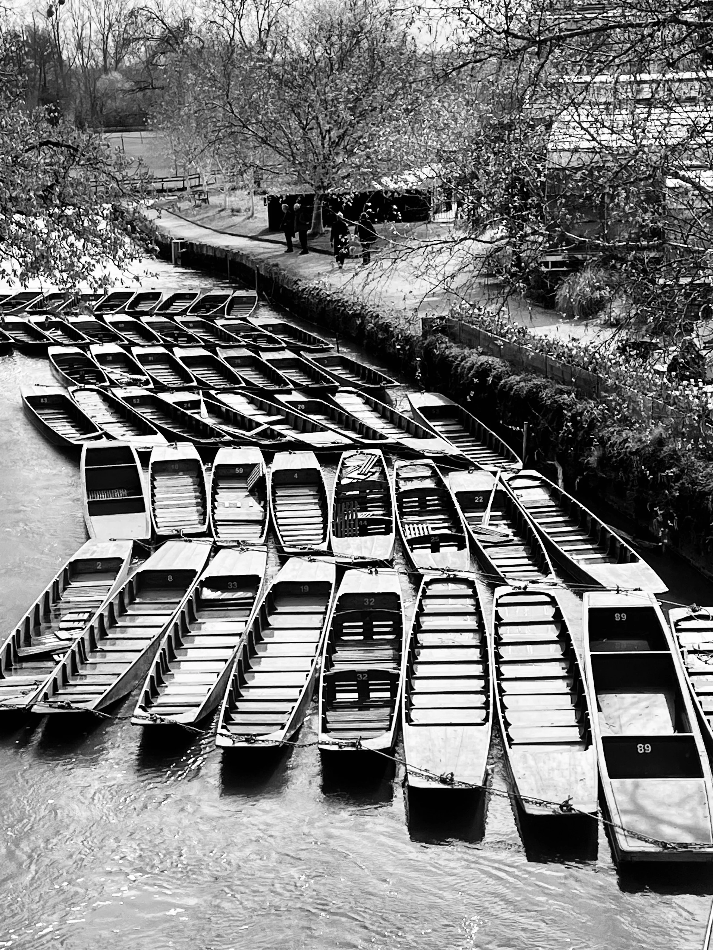 punts on the River Cherwell Oxford photography print for sale