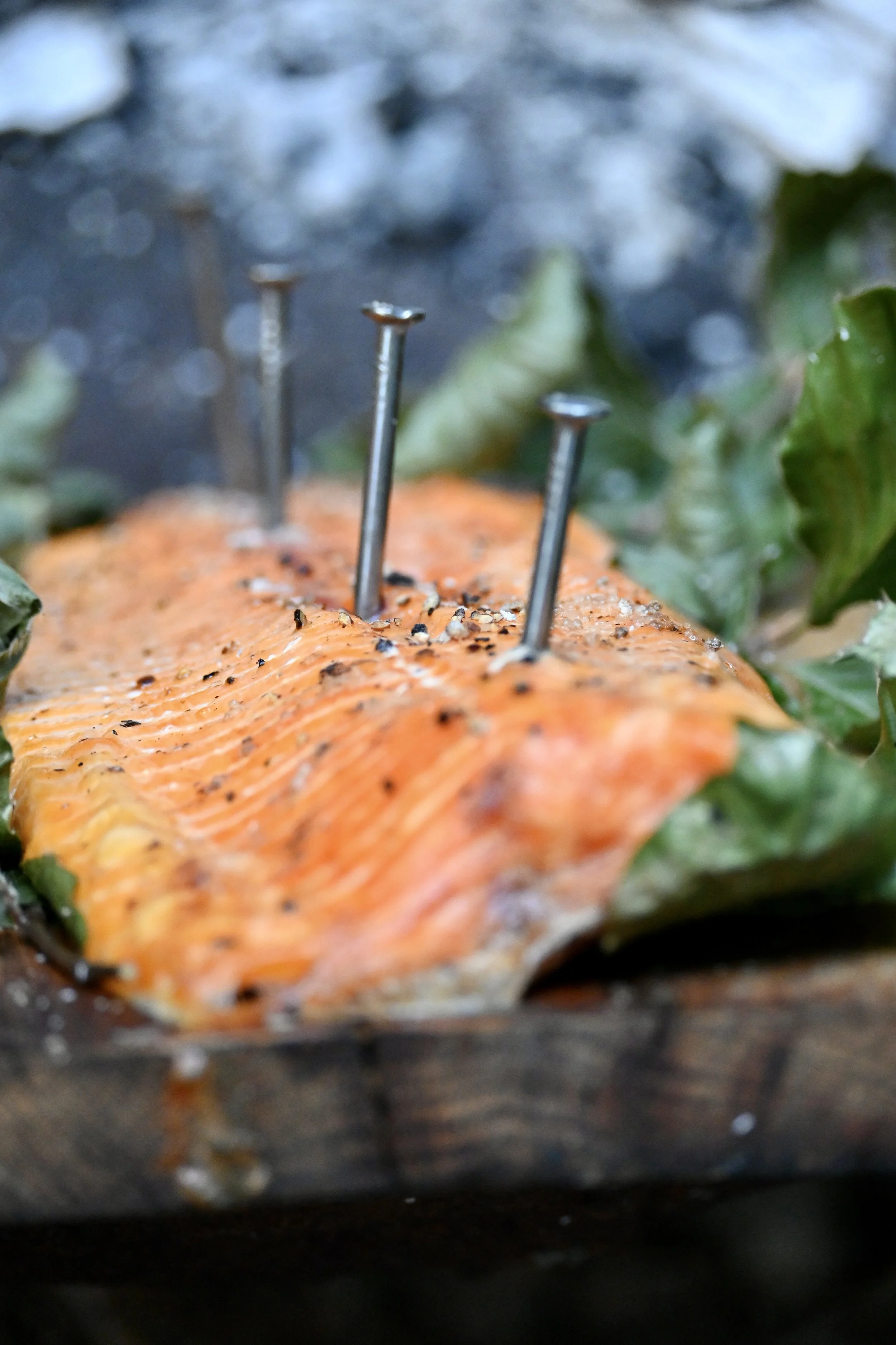 food cooked over fire Chilterns woodland feast