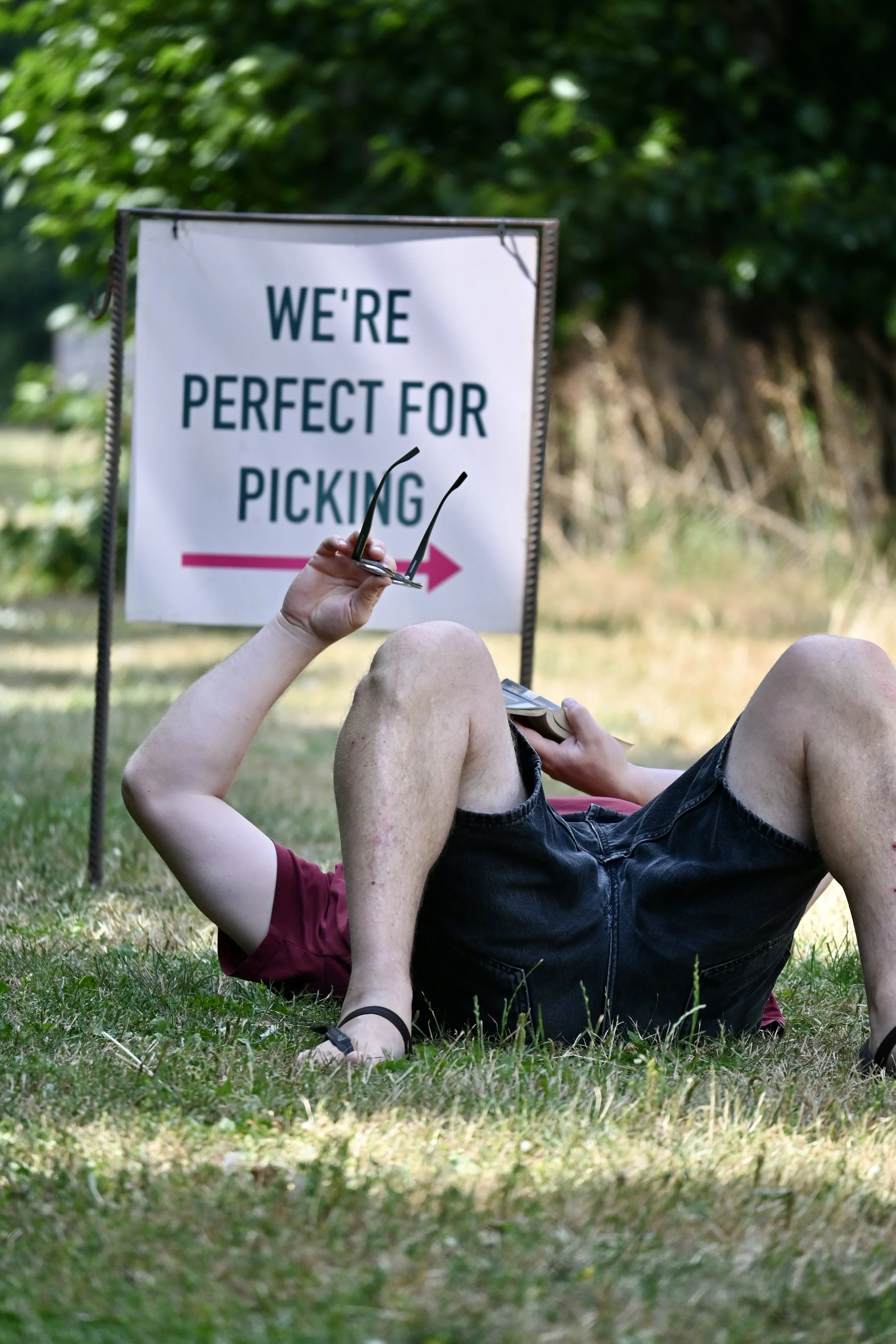 people relaxing outdoors at Rectory Farm Oxford