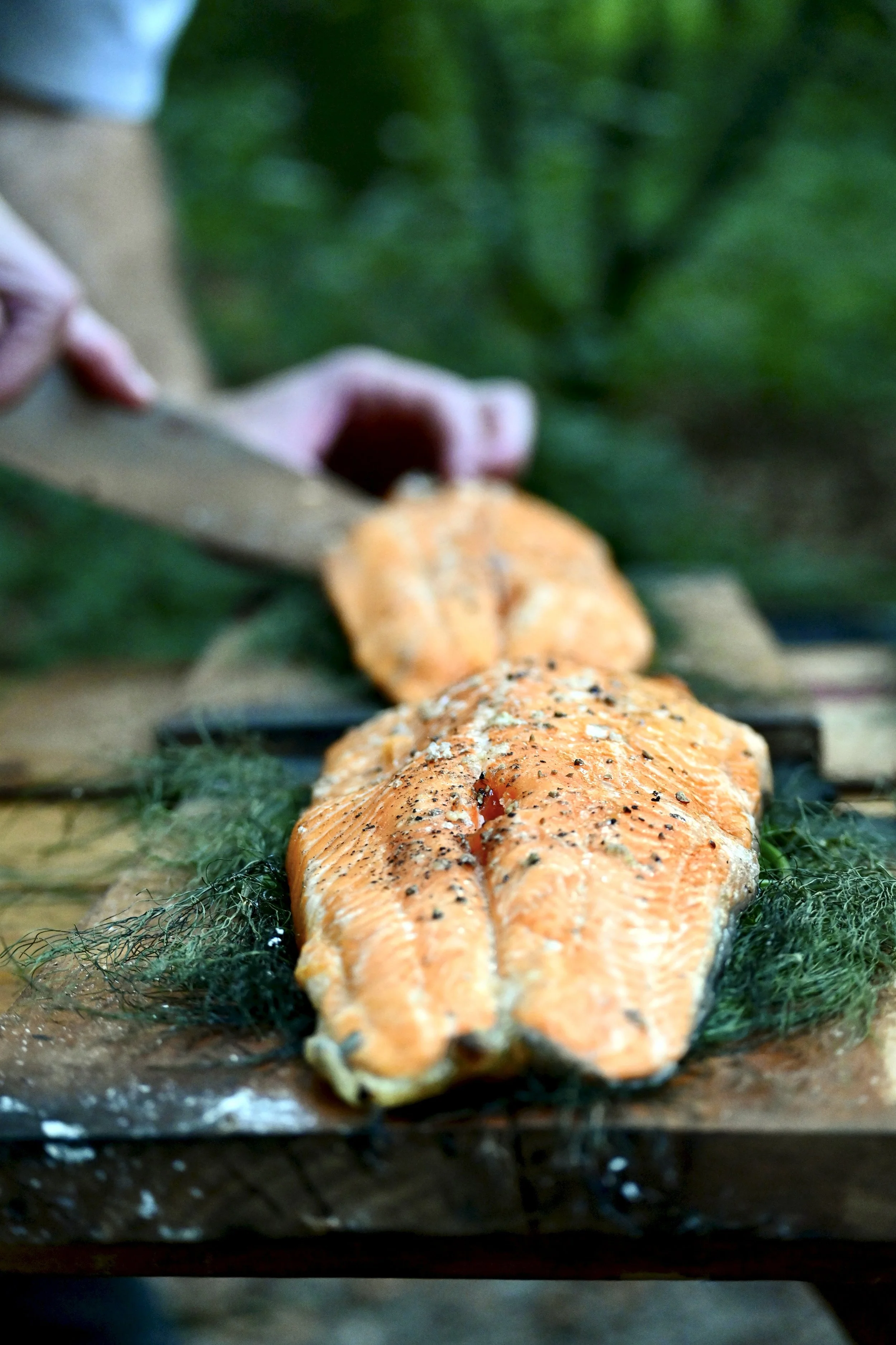 Smoked Trout