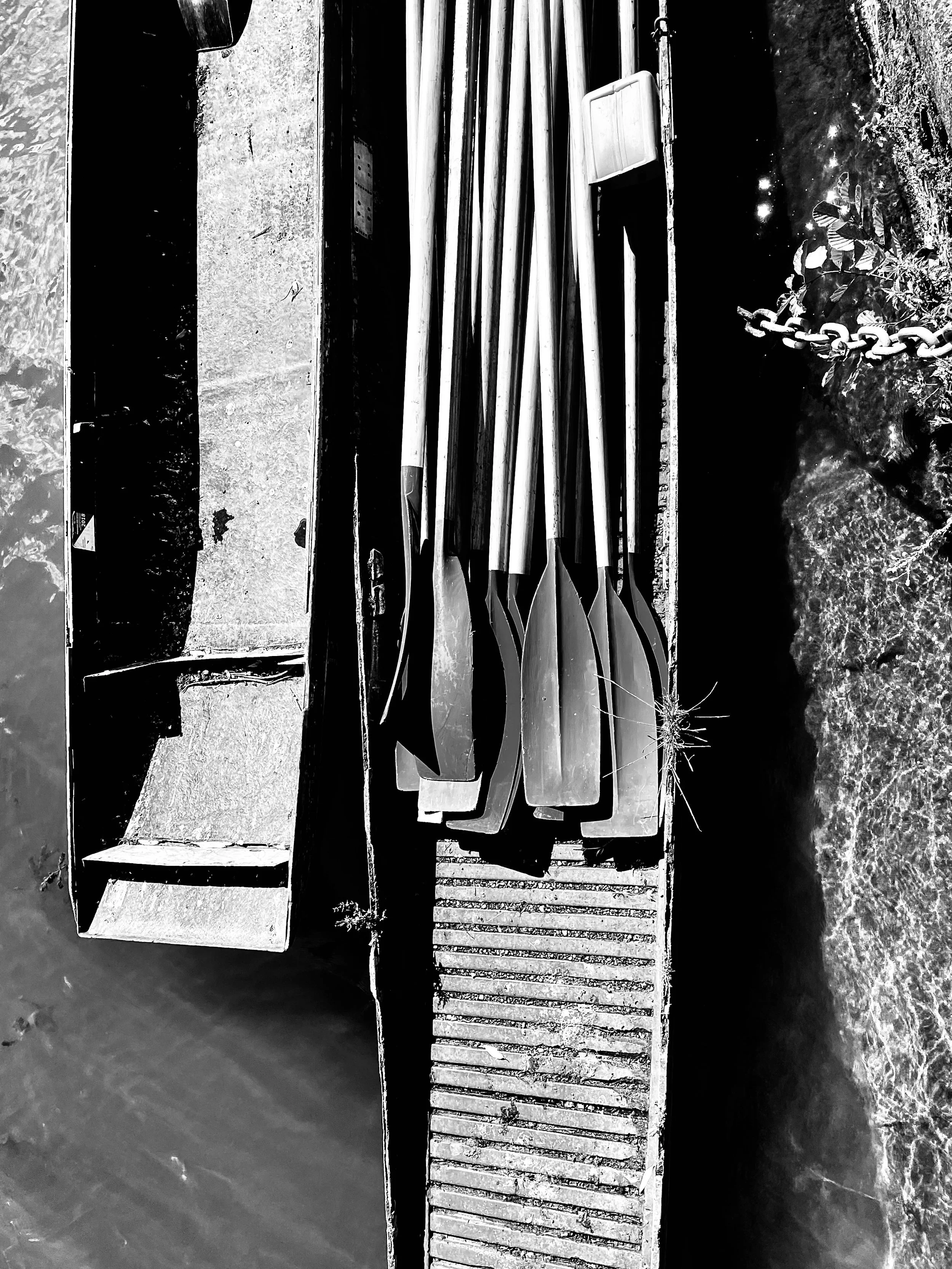 Punts on the River Cherwell Oxford