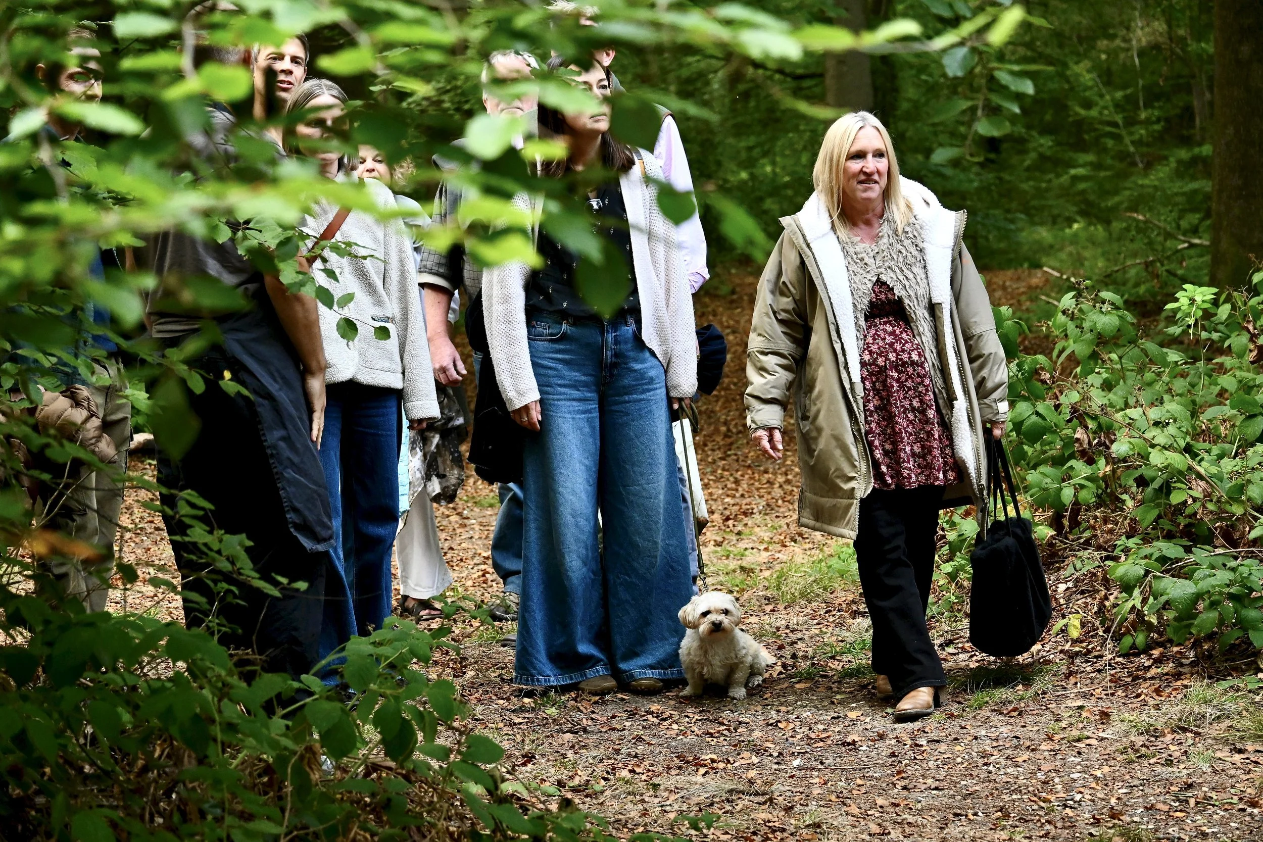 Woodland Walk