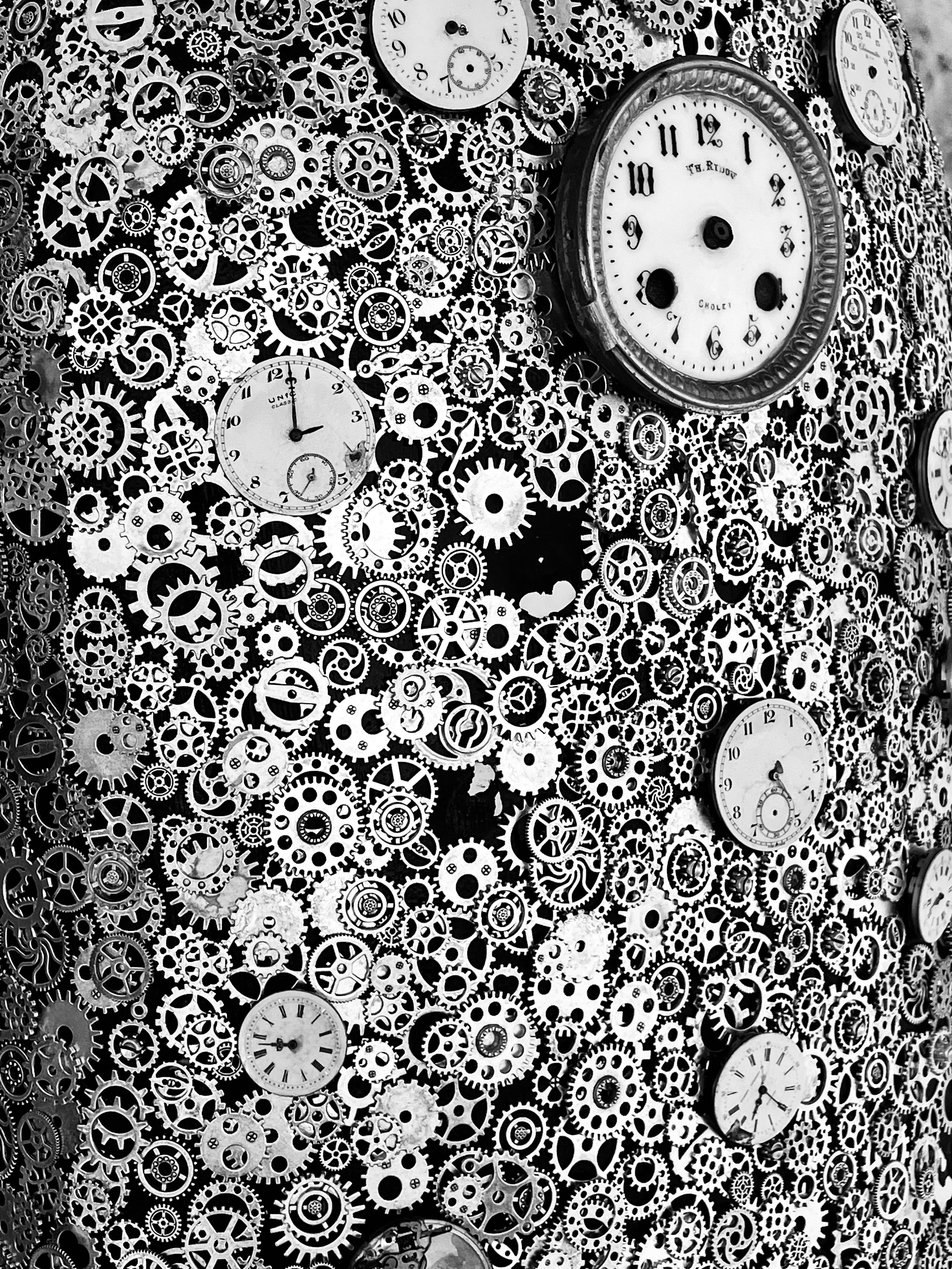 Still Life Photography