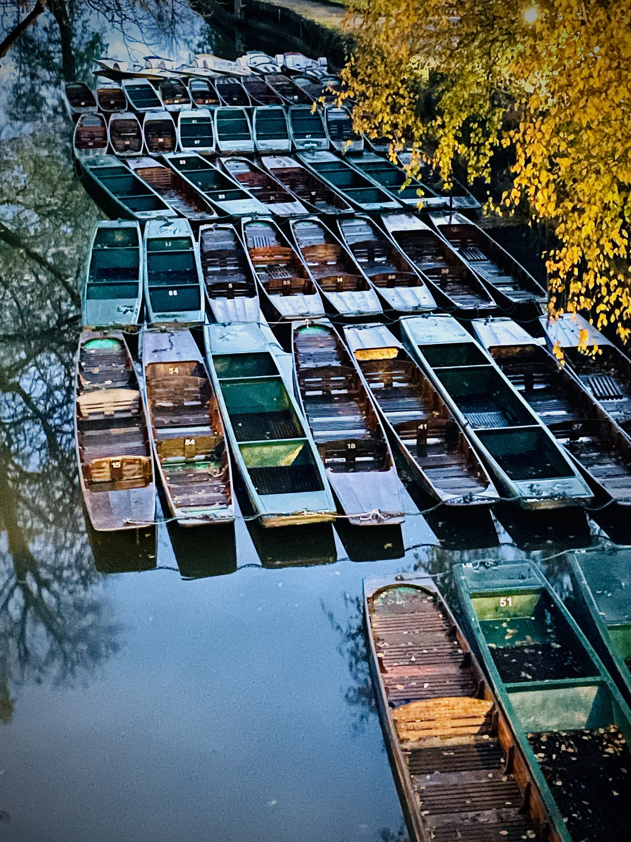 punts on the River Cherwell Oxford photography print for sale