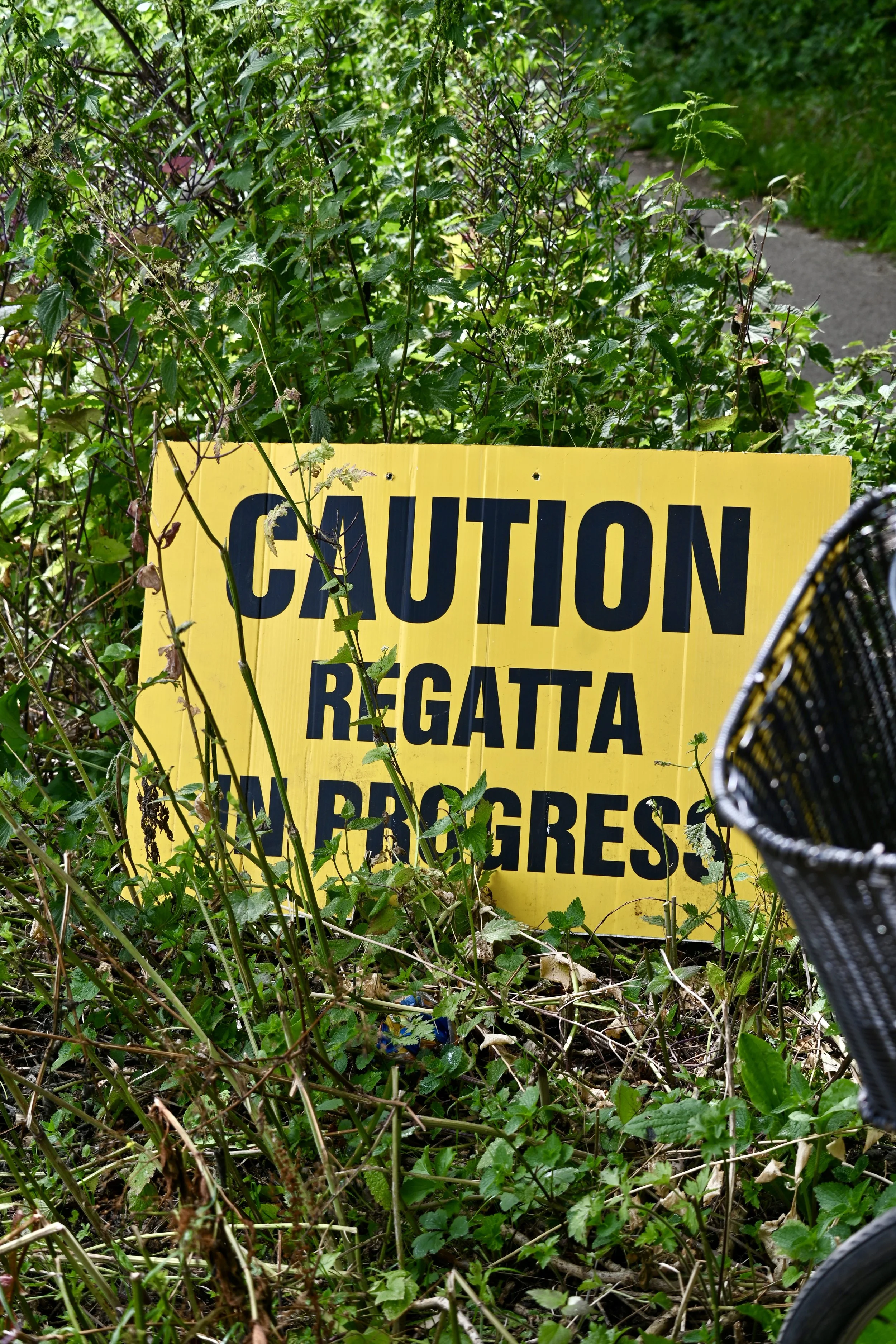 Regatta Photography