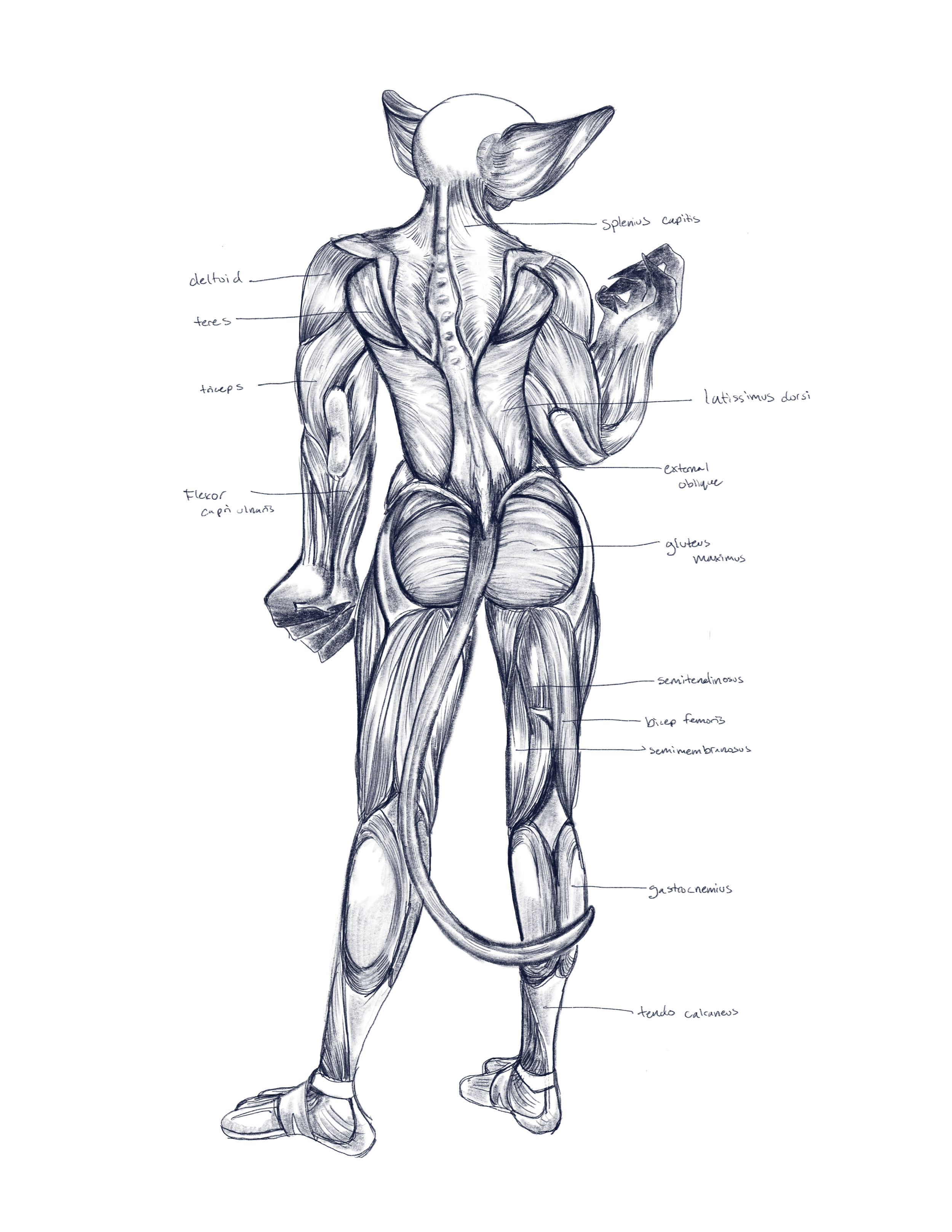 IMG_3497.PNG