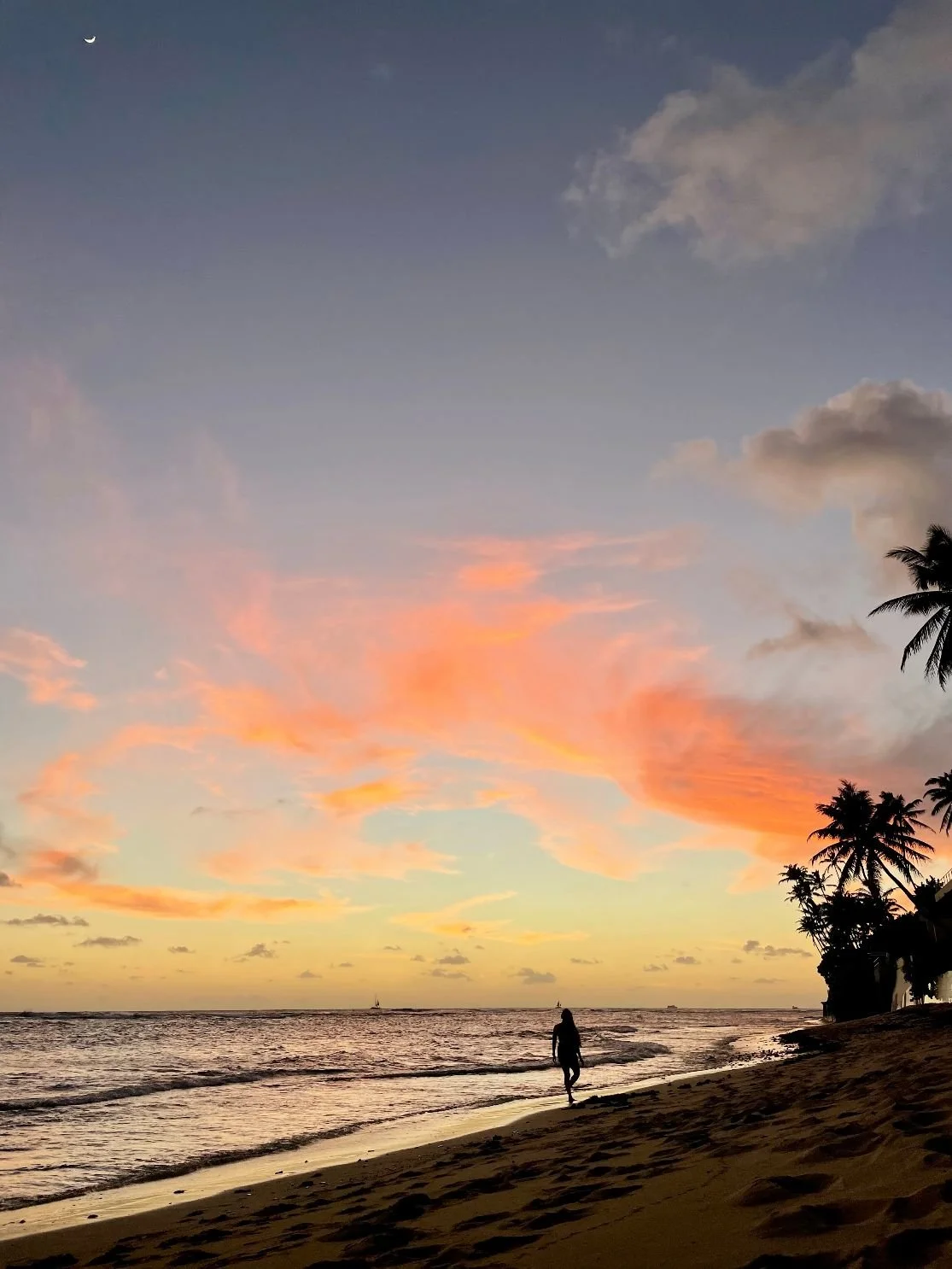 A person walking along a sandy beach at sunset with colorful pink and orange clouds in the sky, silhouetted palm trees, and the ocean in the background.