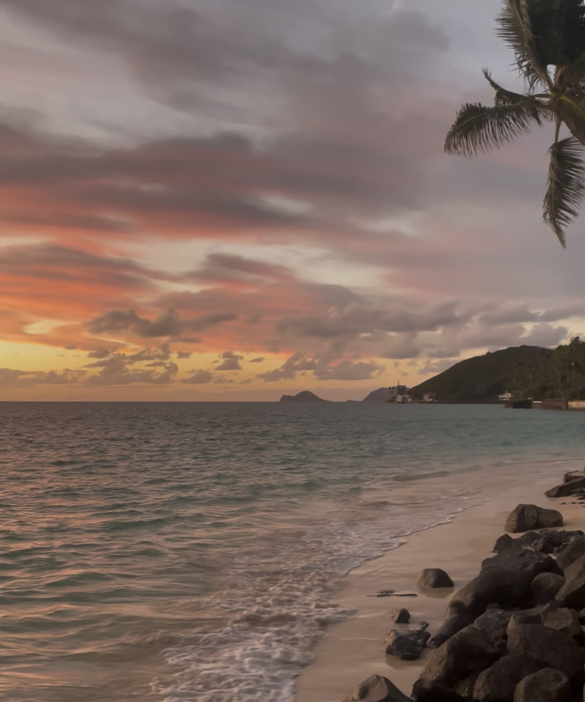 A beach at sunset with colorful sky, calm ocean water, rocks along the shoreline, and a palm tree on the right side.