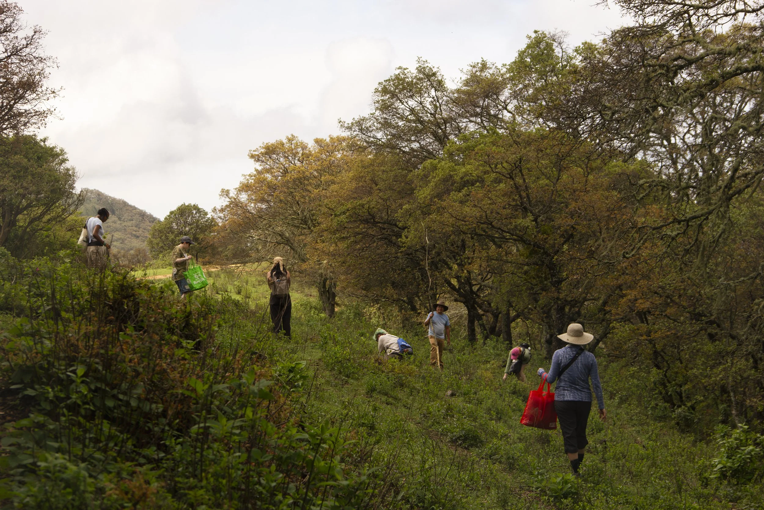 TEOTITLAN-3-3.jpg