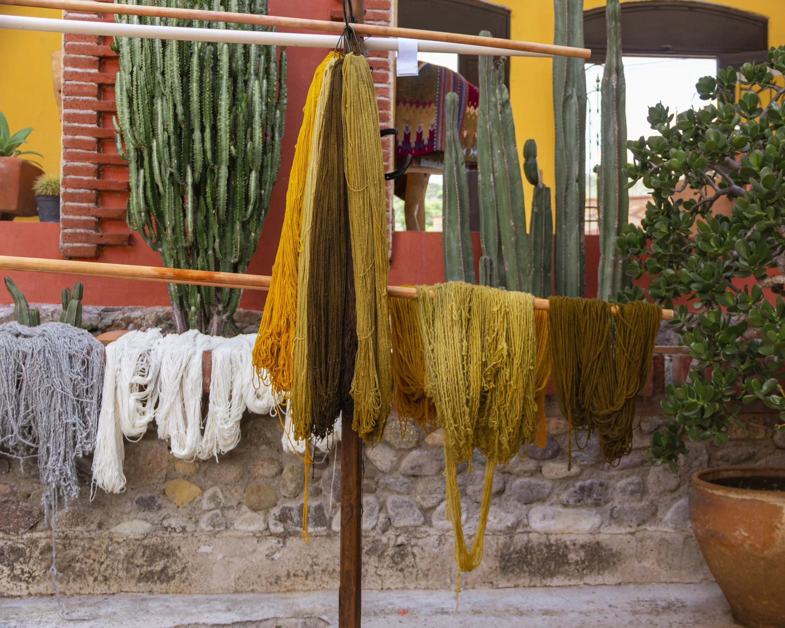TEOTITLAN-21-2.jpg