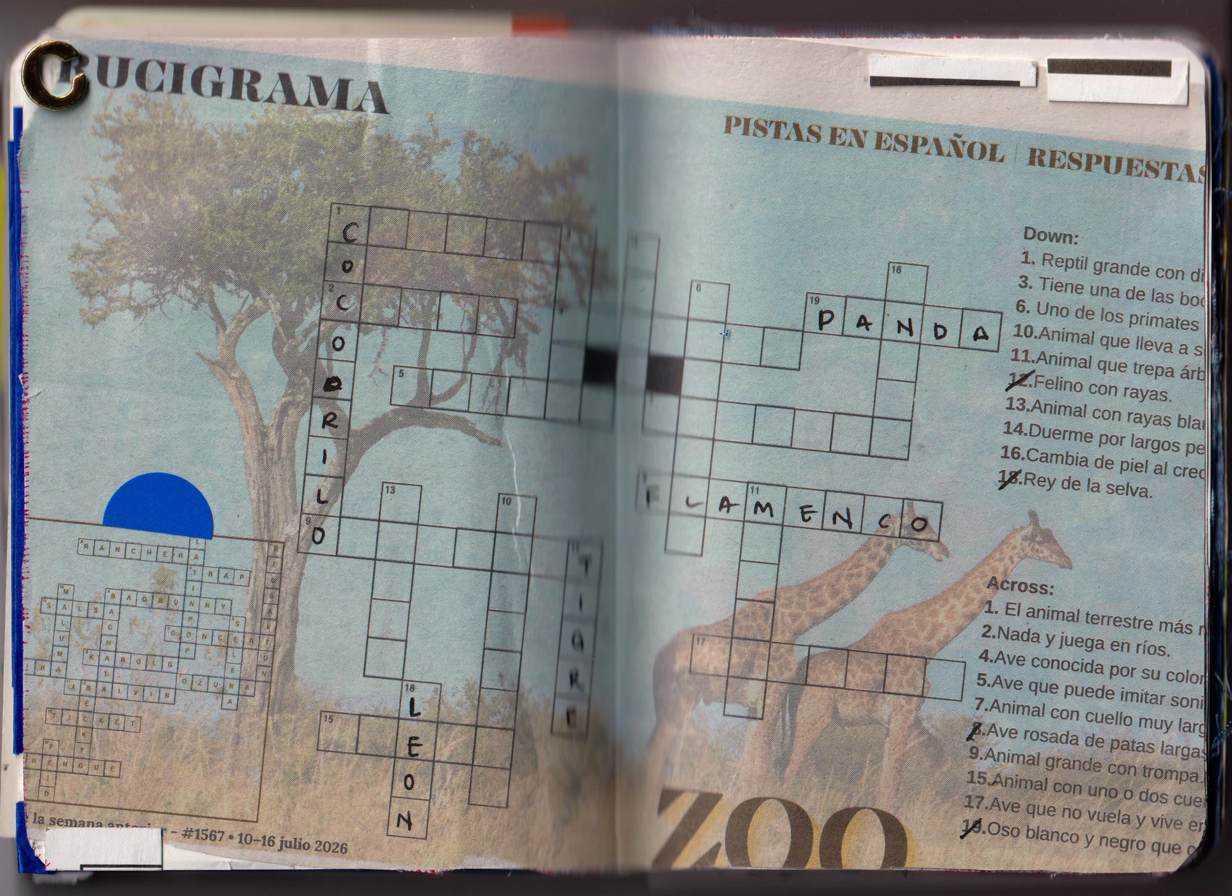 darling trust in this unnamed spreads-10.jpg