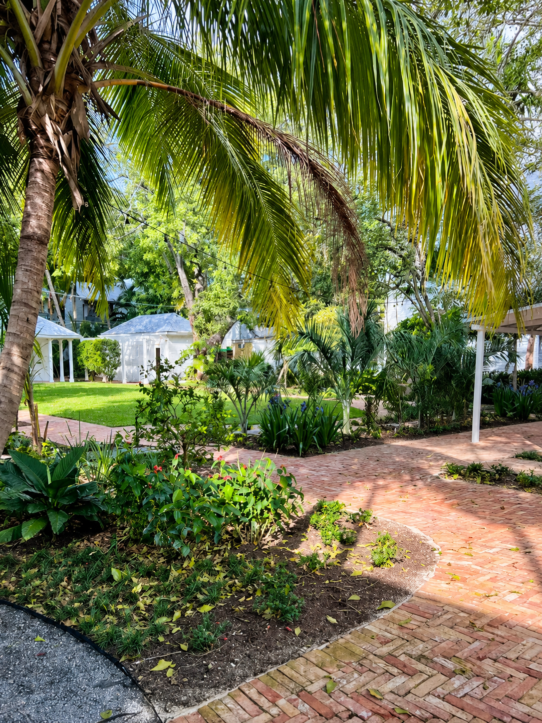 13_orchid_palm_garden.png