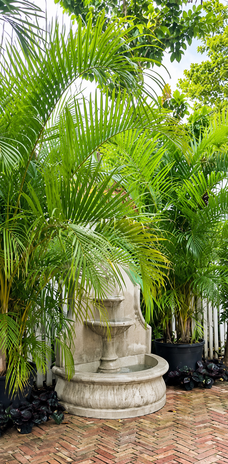 17_tom_majors_garden.png