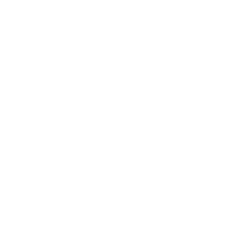Partner Organisations