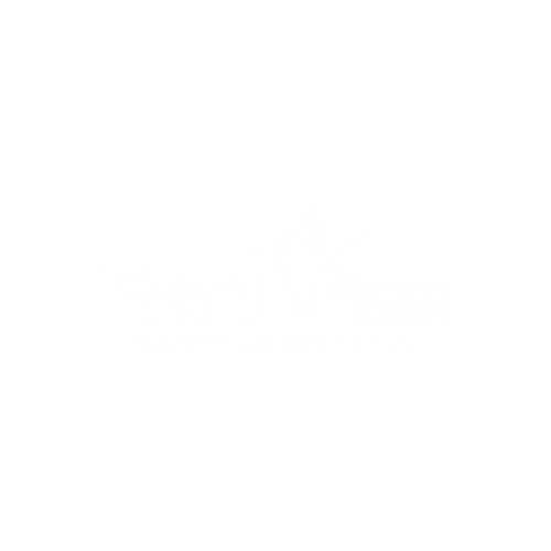 Partner Organisations