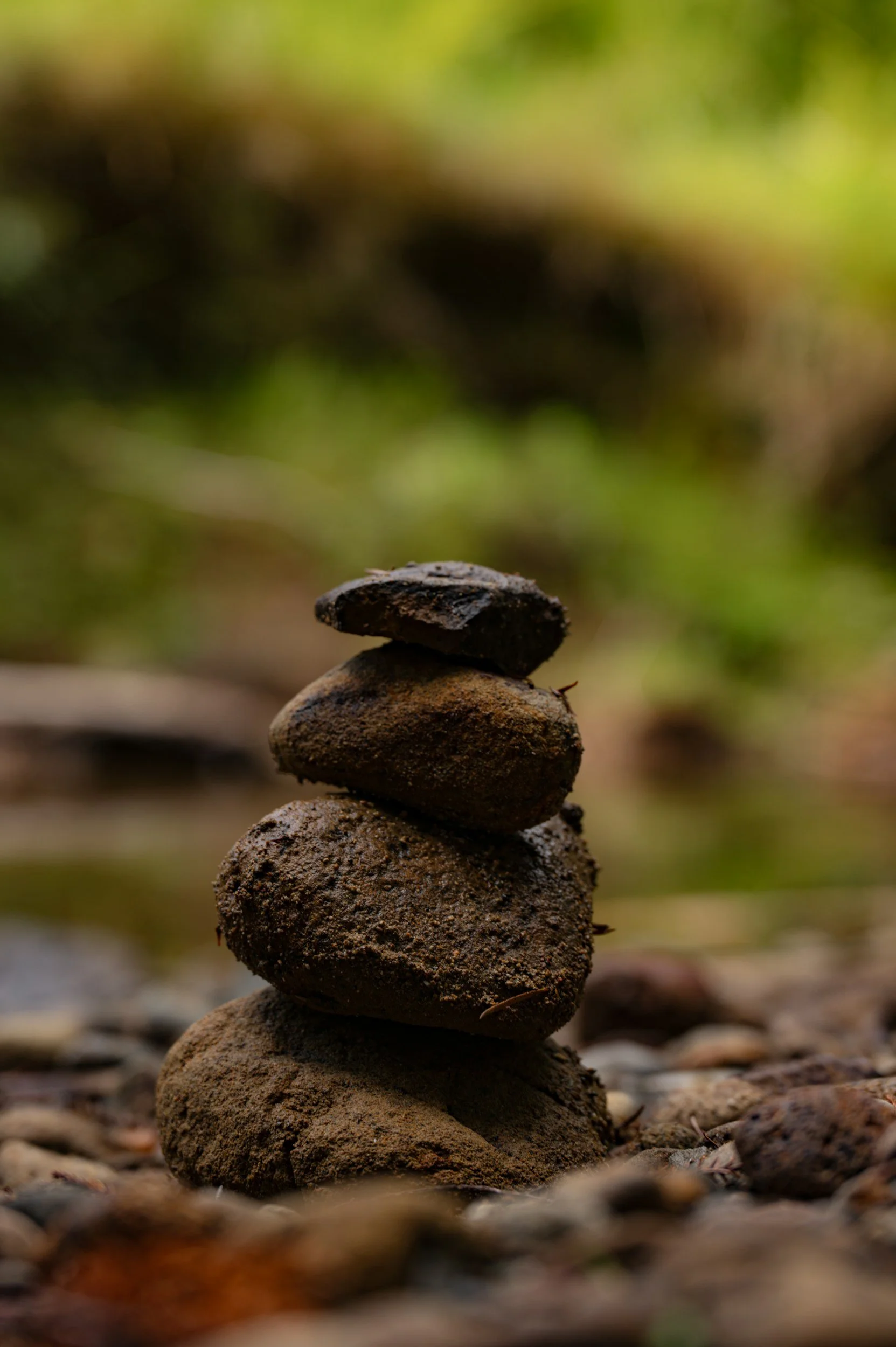 Close-up of a stack of five rocks balanced on top of each other, with a blurred natural outdoor background.