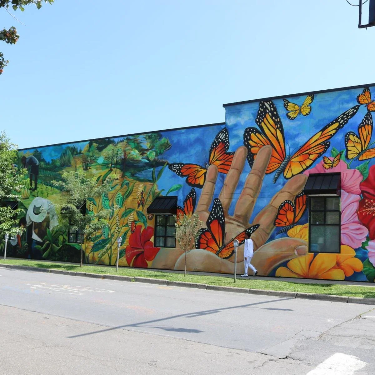 Ithaca, NY Murals