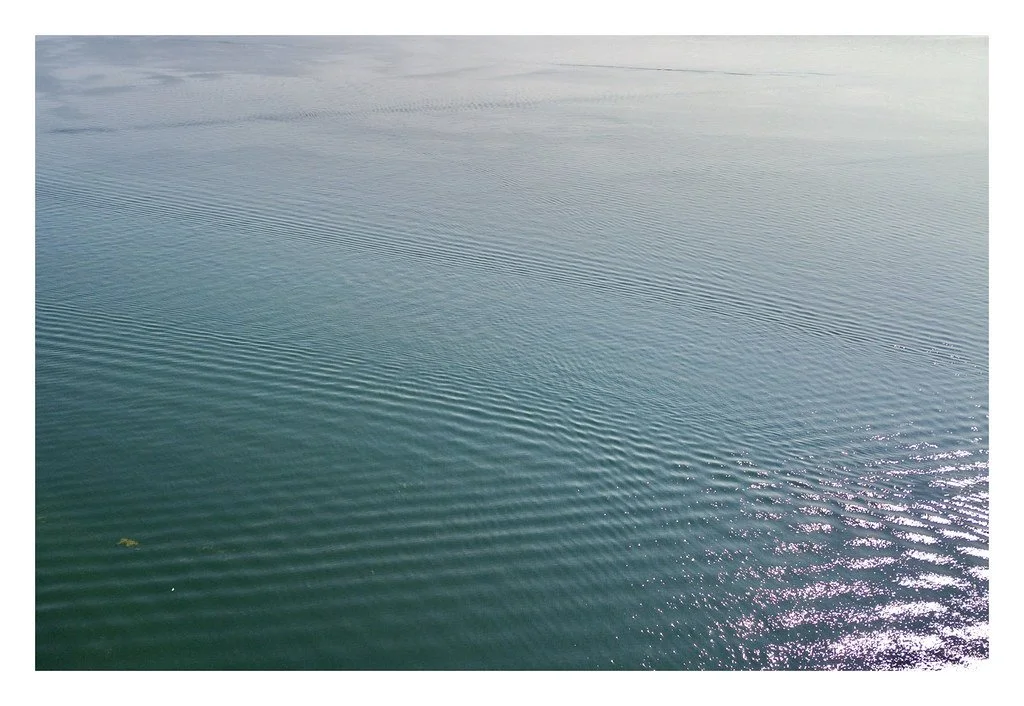 Cayuga Lake in Aurora, NY