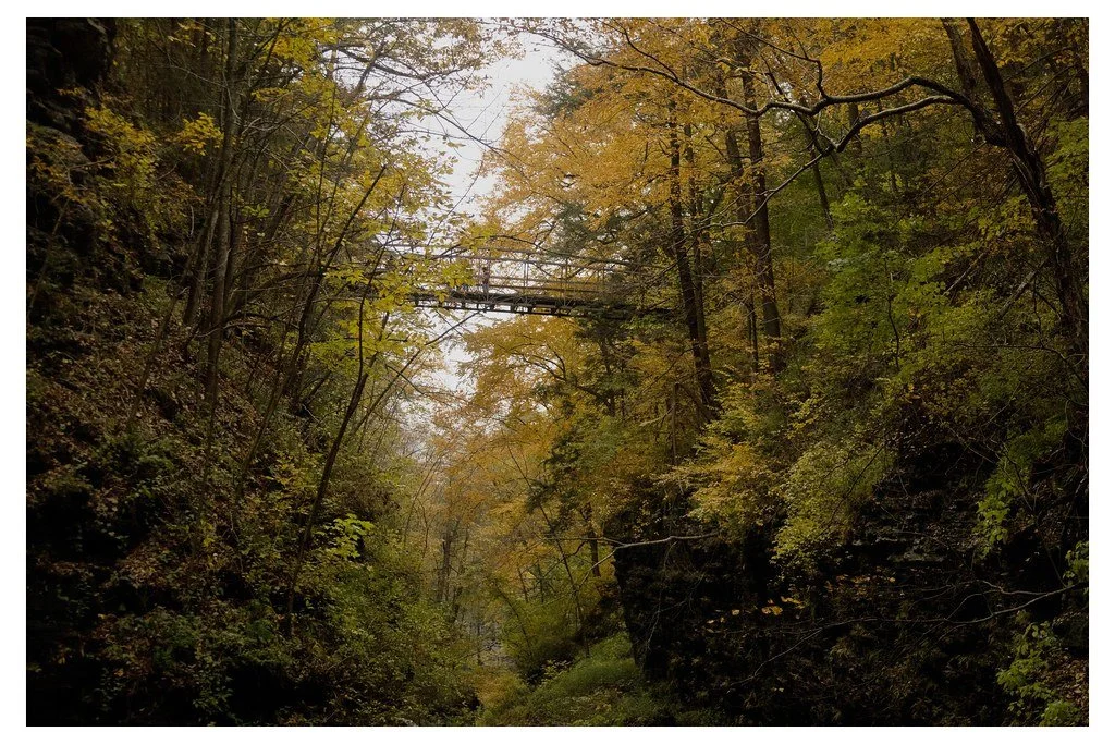 fall-2023_54230551301_l.jpg