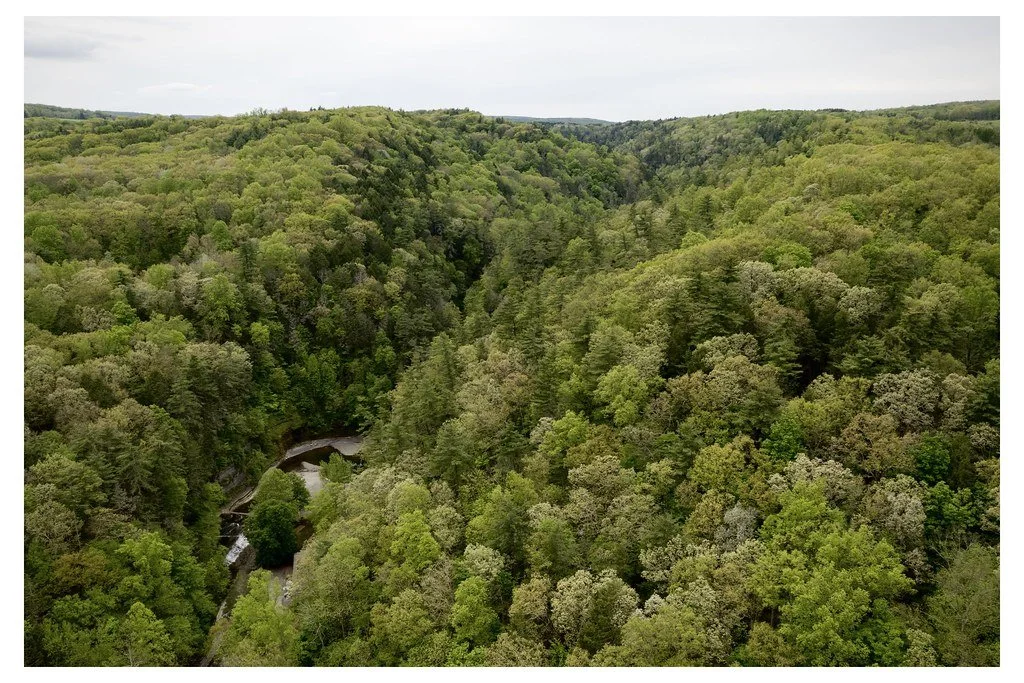 Buttermilk Falls in Ithaca, NY