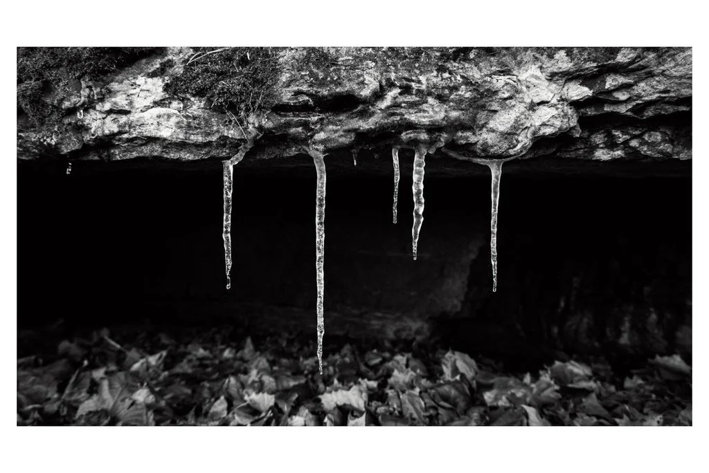 winter-2023_54229639467_l.jpg