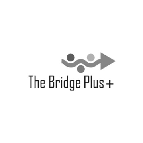 bridgeplus.png