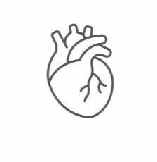 Ilustración de un corazón que representa la revisión de reclamaciones médicas y facturas relacionadas con procedimientos cardiovasculares en Estados Unidos.
