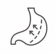 Ilustración de un estómago que representa la revisión de reclamaciones médicas y facturas relacionadas con procedimientos gastrointestinales como la bariatrica en el sistema de salud de Estados Unidos.