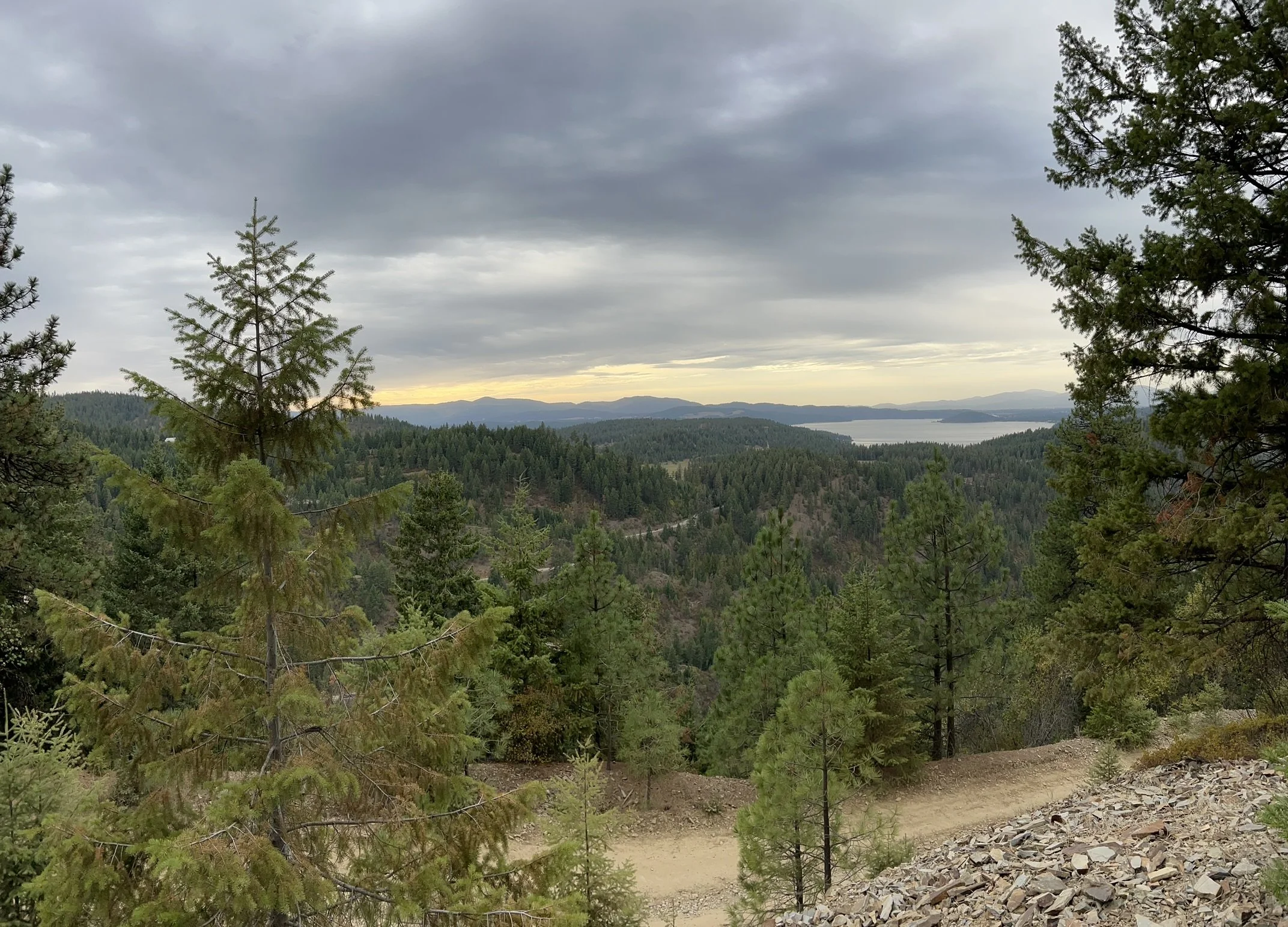 A scenic view of a forested landscape with a dirt trail, pine trees in the foreground, distant hills, and a body of water under a cloudy sky.