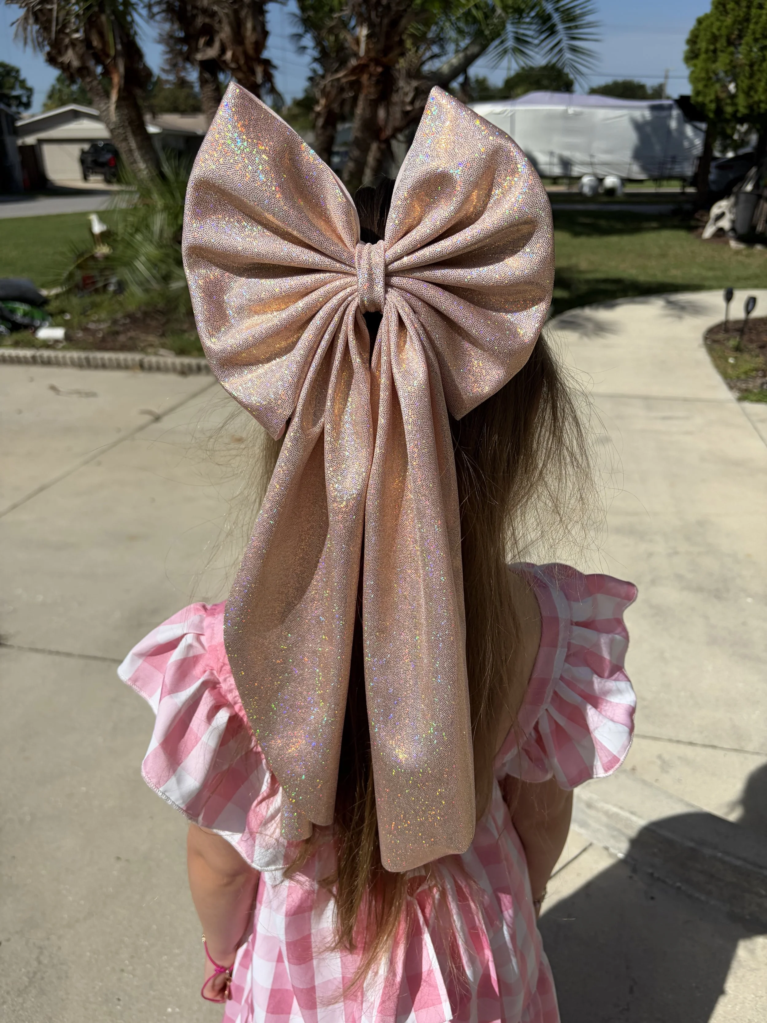 Oversized Pink Sparkle Long Tail