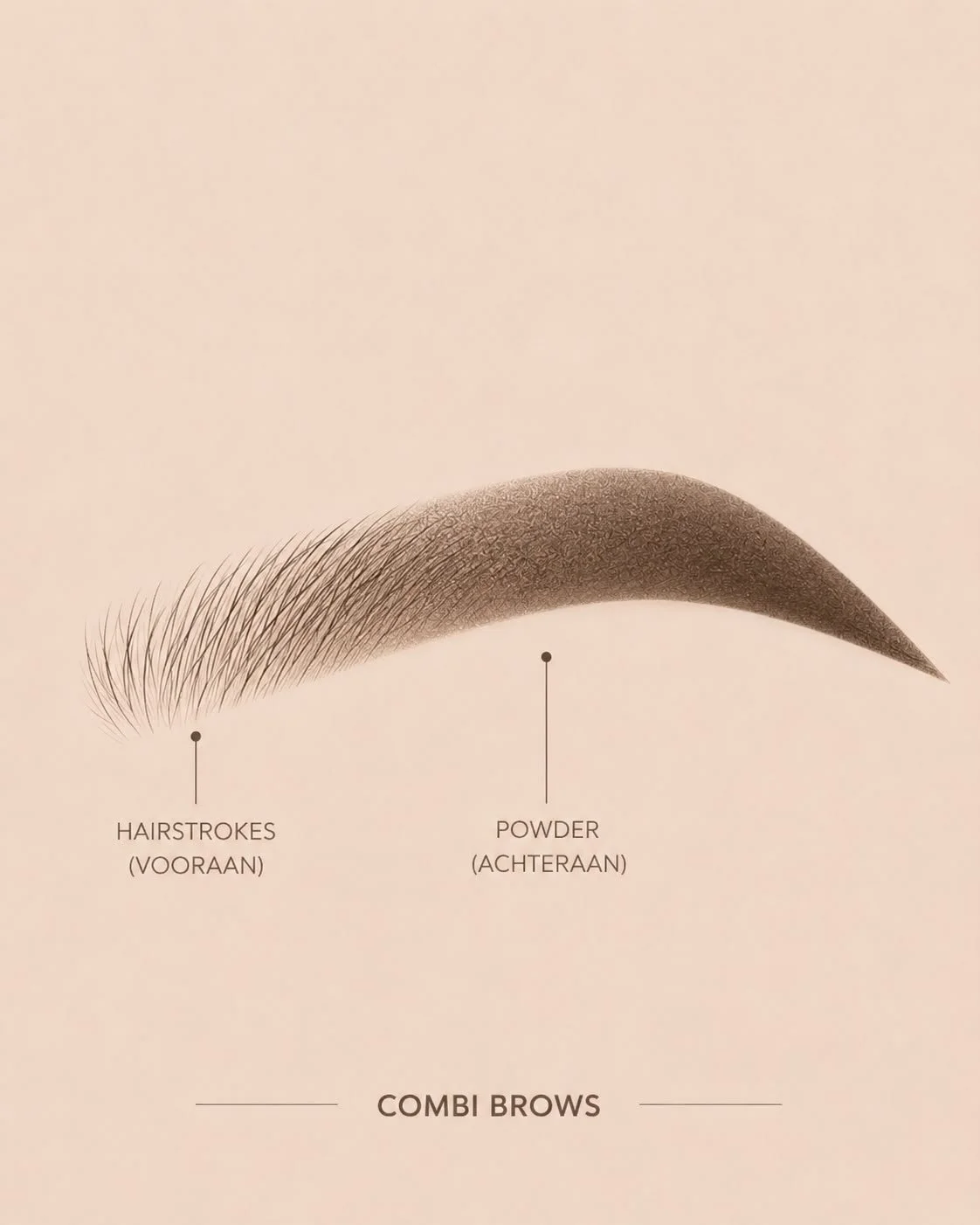 Wenkbrauwen - combibrows