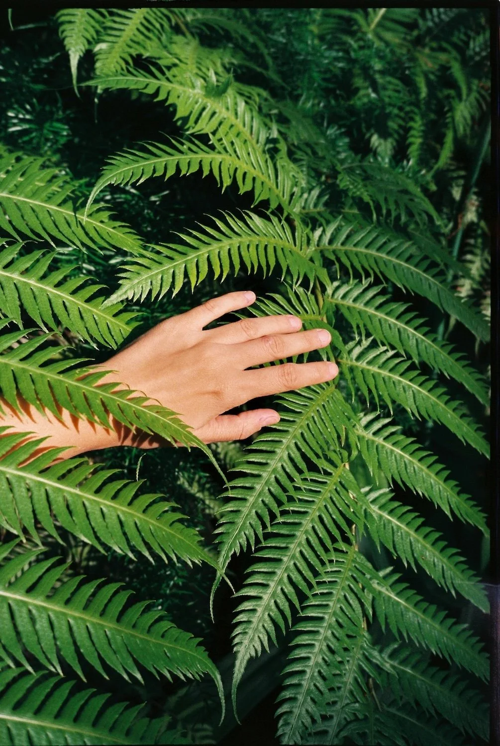 Reiki practitioner hand in nature.