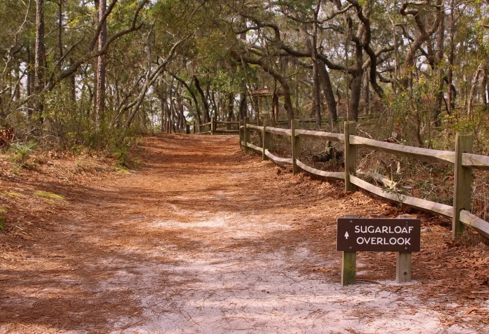 CarolinaBeachStateParkresize.jpeg