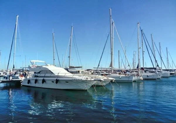 Beach Rentals + fishing charters