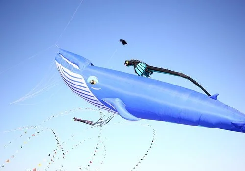 Cape Fear Kite Festival