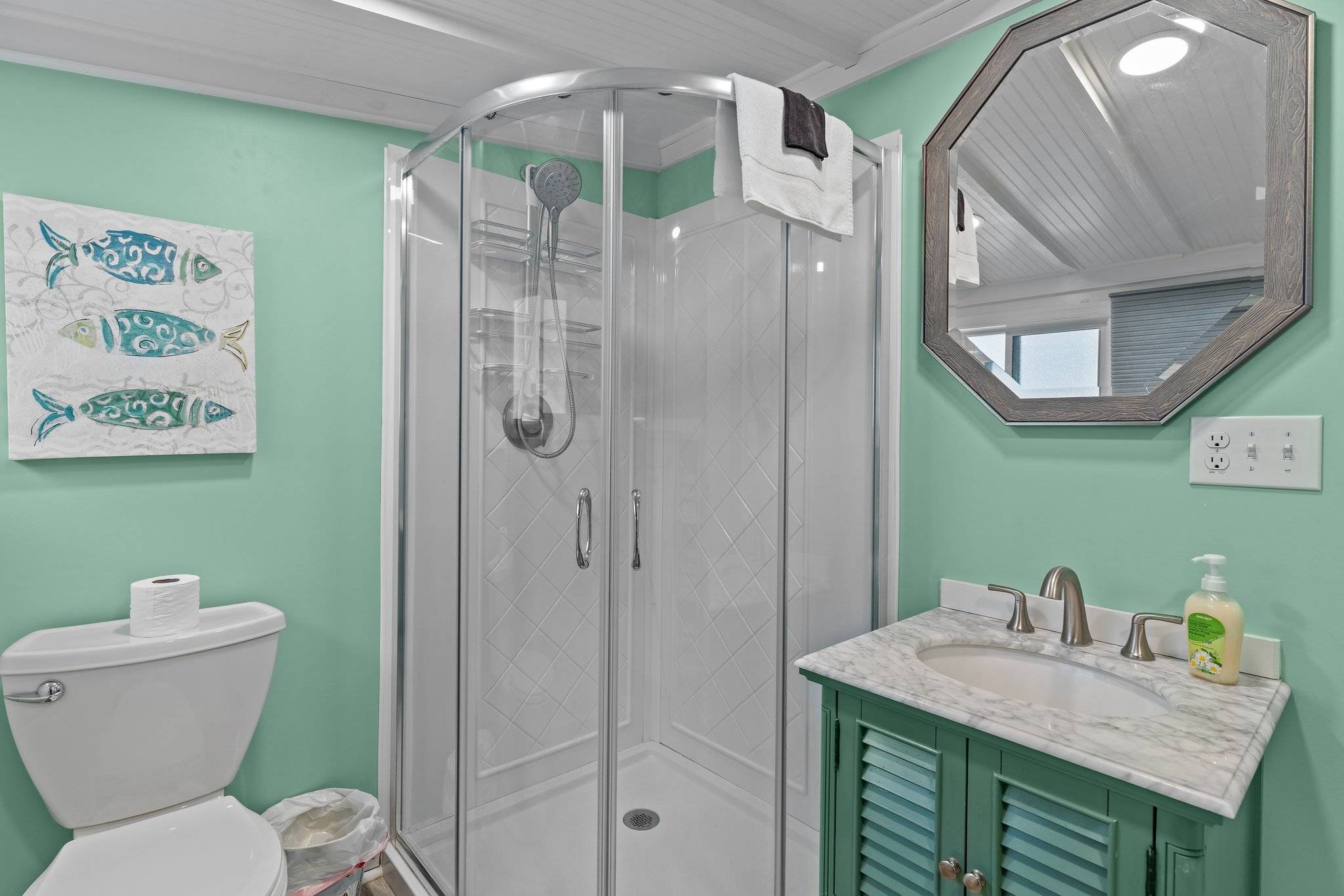 A bathroom with mint green walls, a white toilet with a toilet paper roll on top, a small shower with glass doors and a handheld showerhead, a mirror with a wooden frame, a marble countertop with a sink, a soap dispenser, and a decorative wall art of