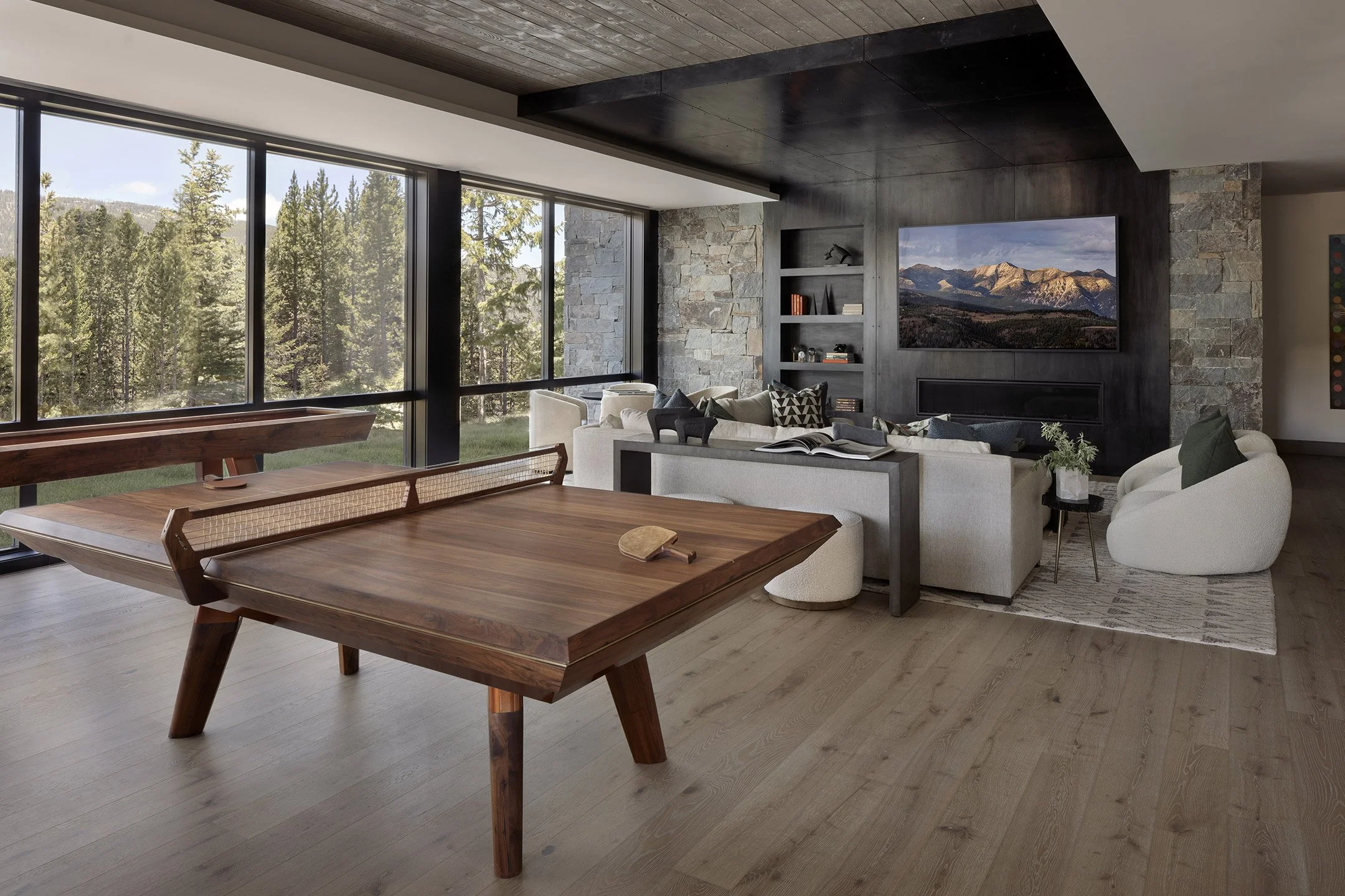 Luxury home entertainment system